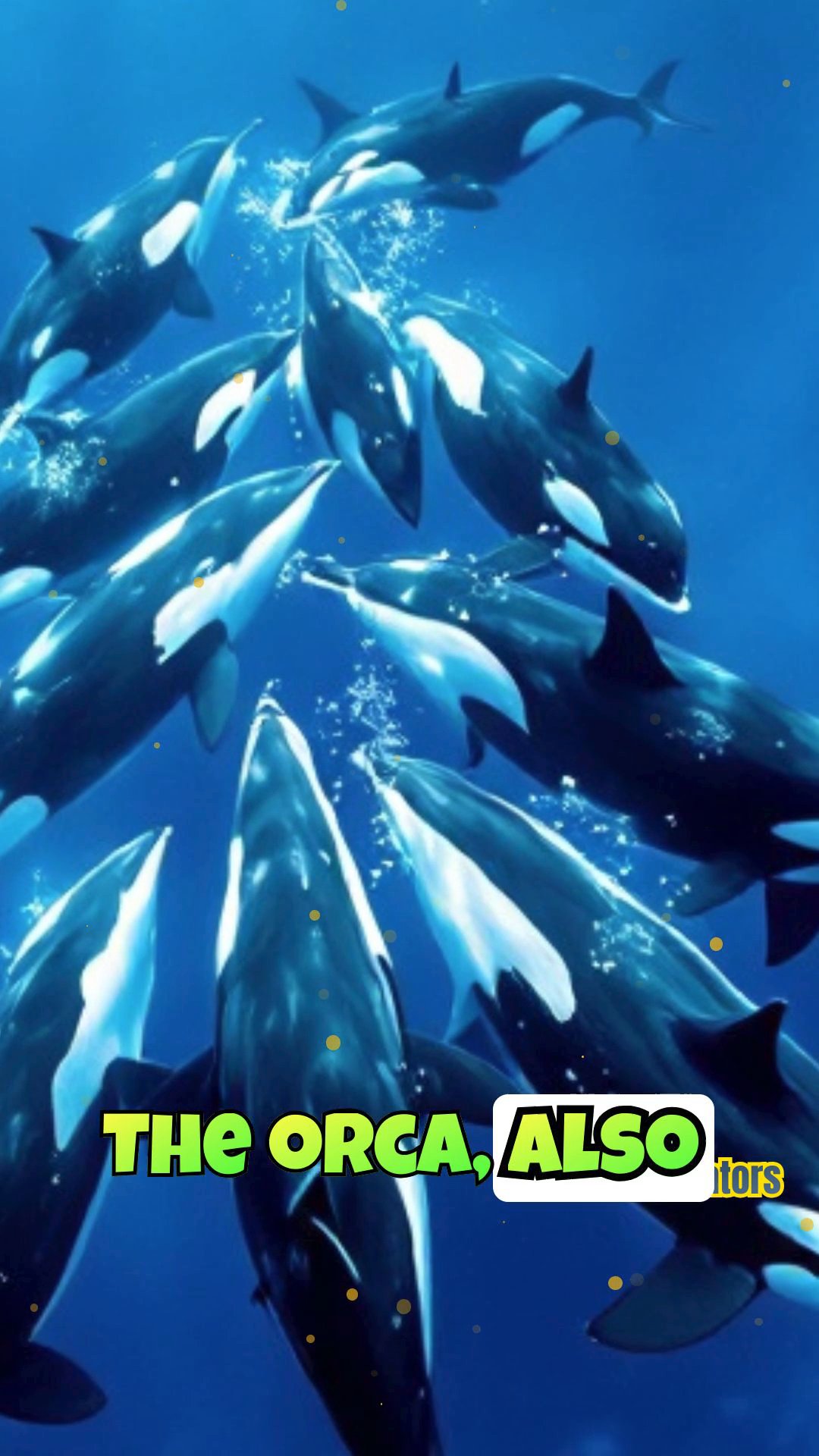 Predators of the Deep: Orca vs. Great White Shark Hunting Strategies