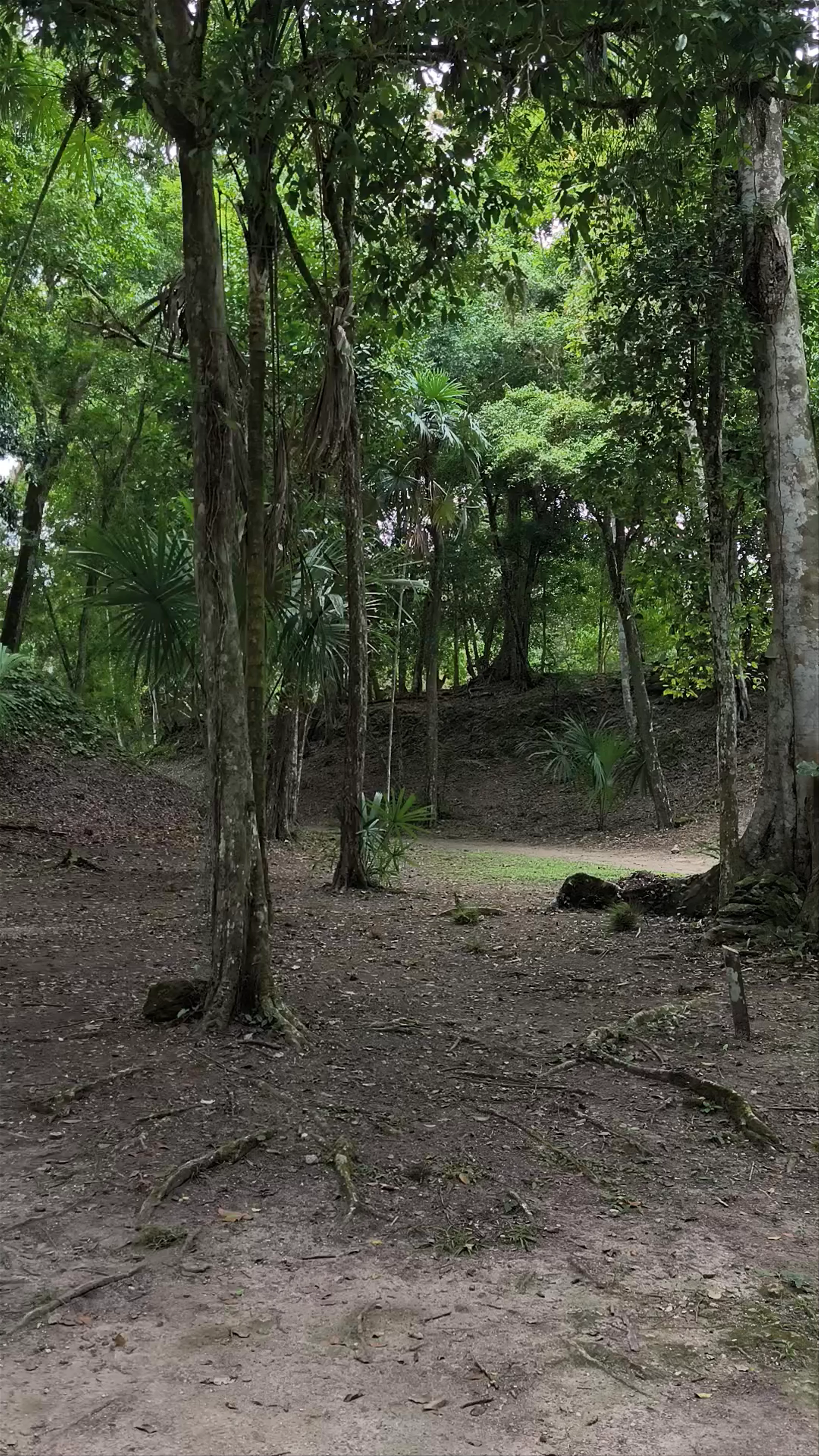 Triple Juego de Pelota, Tikal