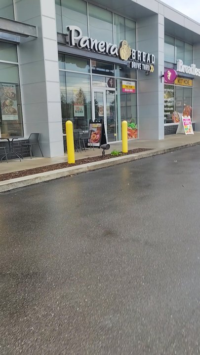 Breadless - Getting lunch from Breadless - Salad Near Me - Rochester Hills, Michigan
