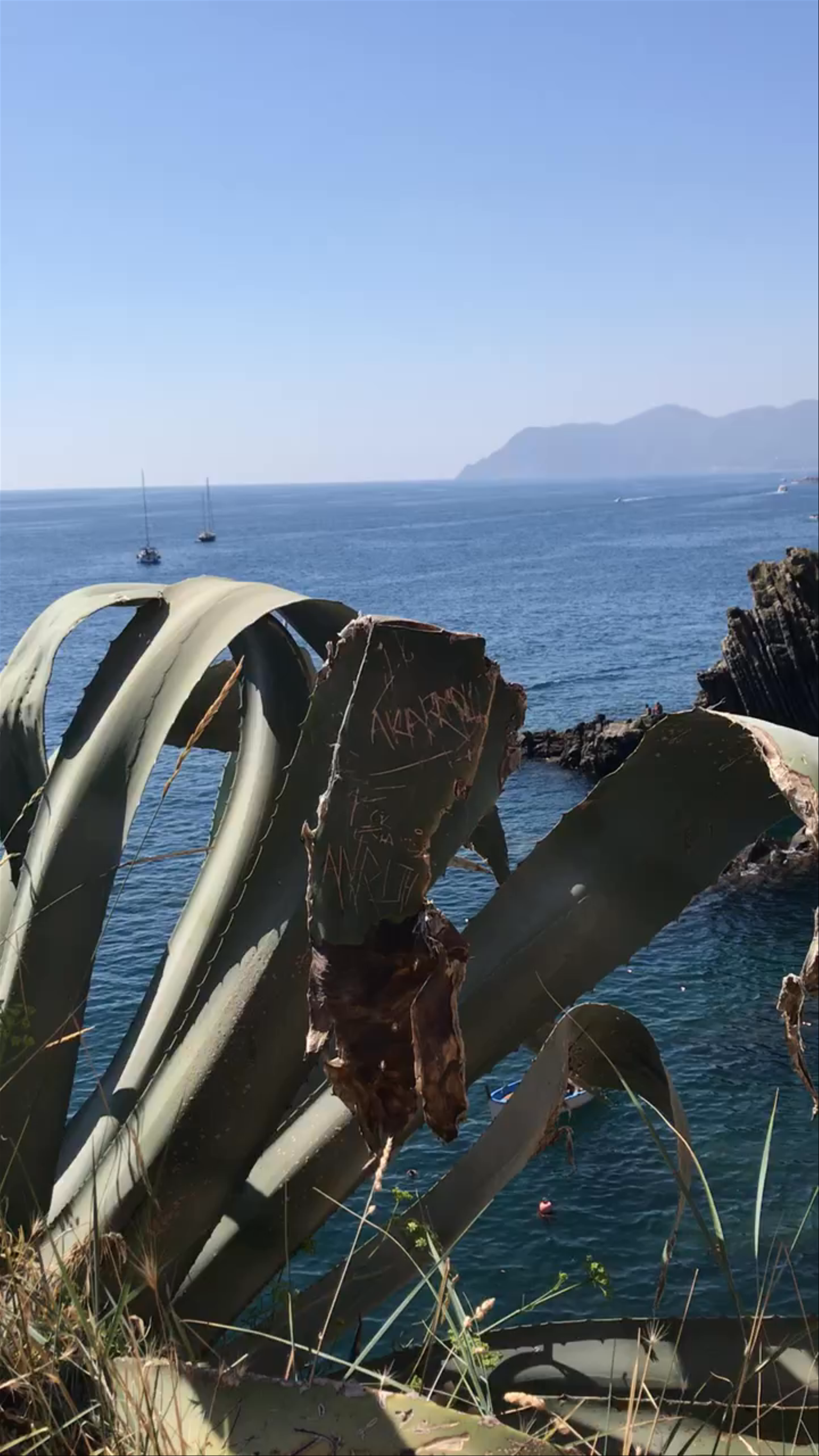Riomaggiore Port Viewpoint - Via San Giacomo