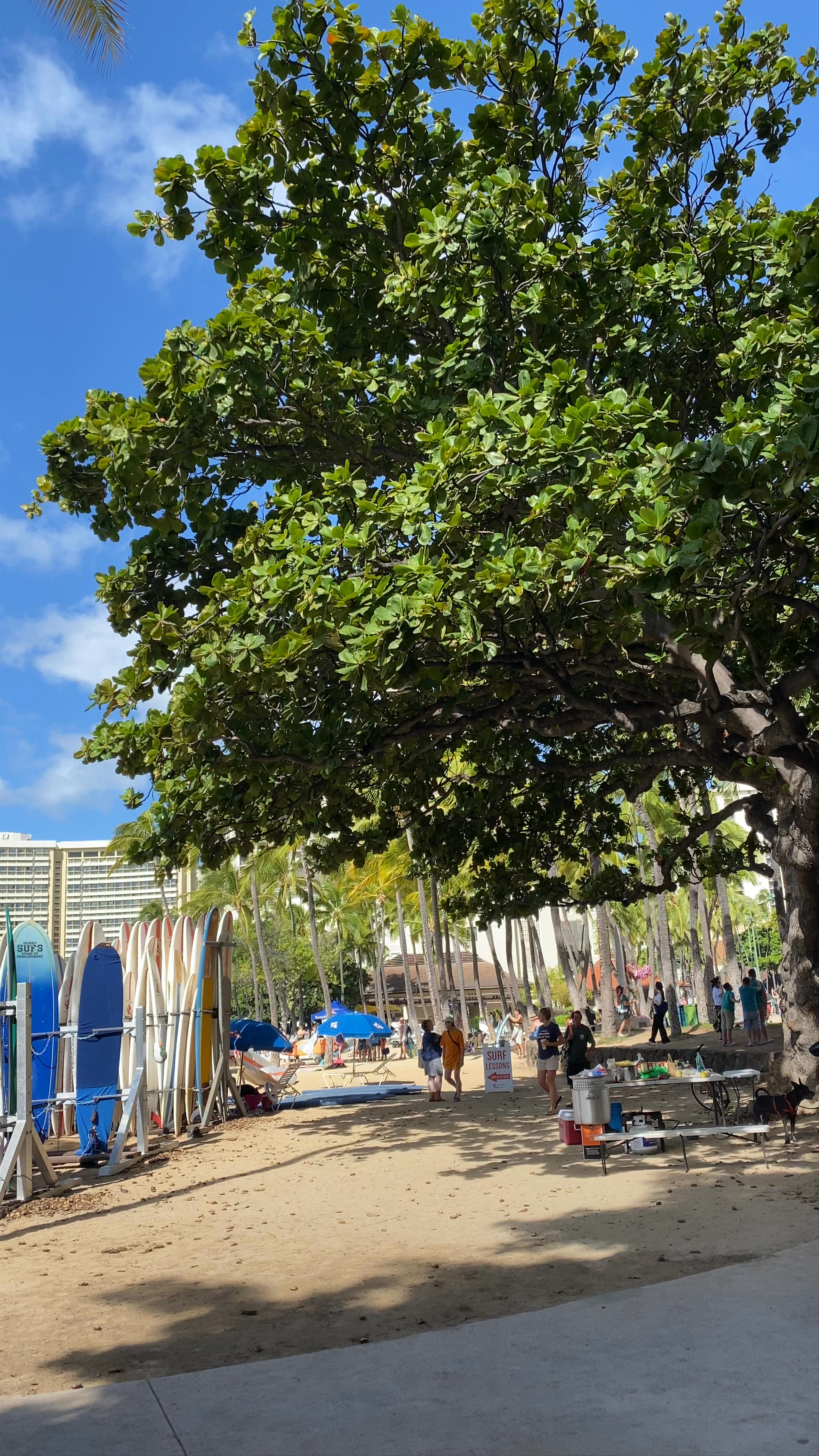 Kuhio Beach Park: Iconic Surf Spot in Honolulu, Hawaii