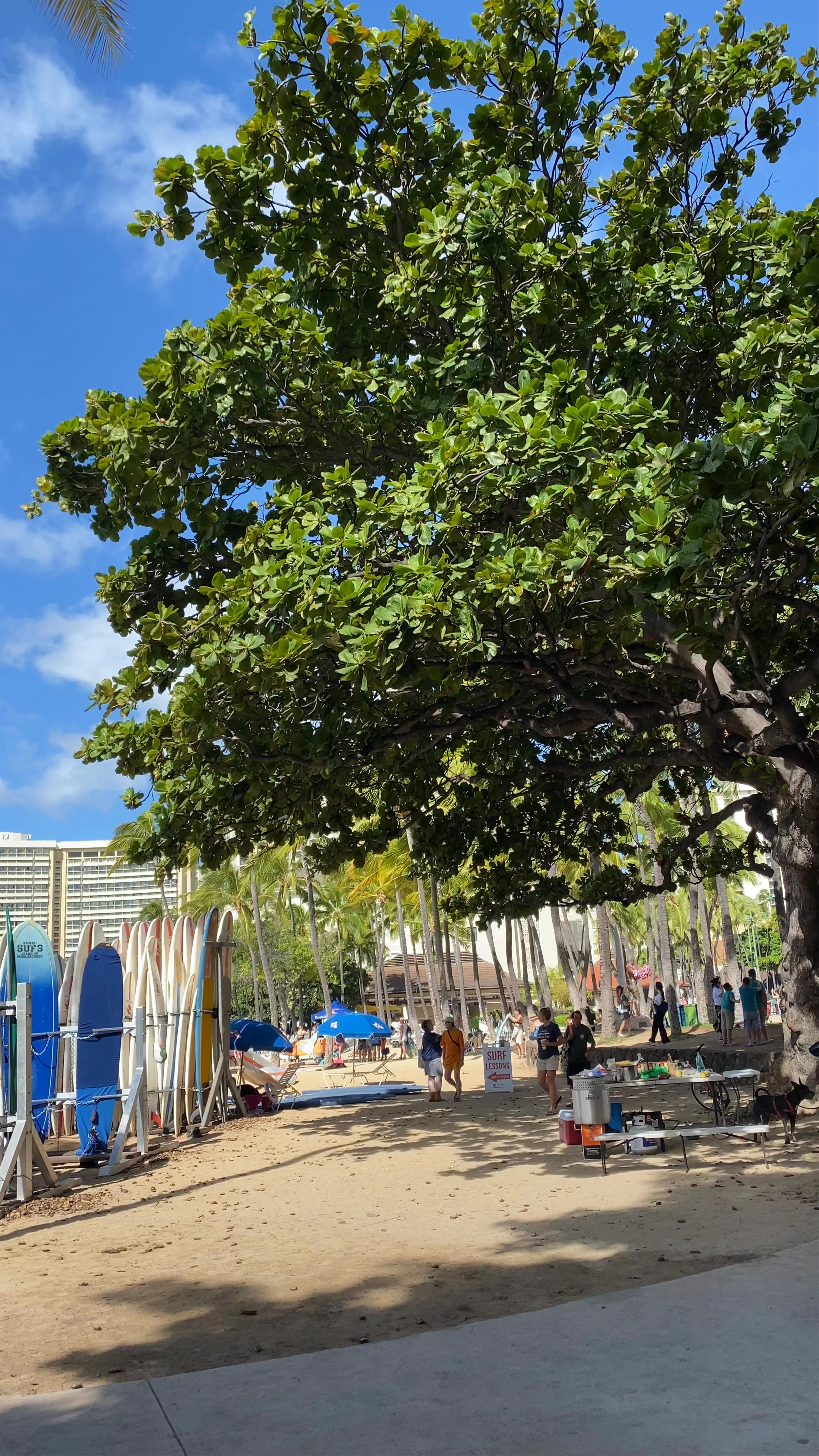 Kuhio Beach Park, Honolulu, HI, USA