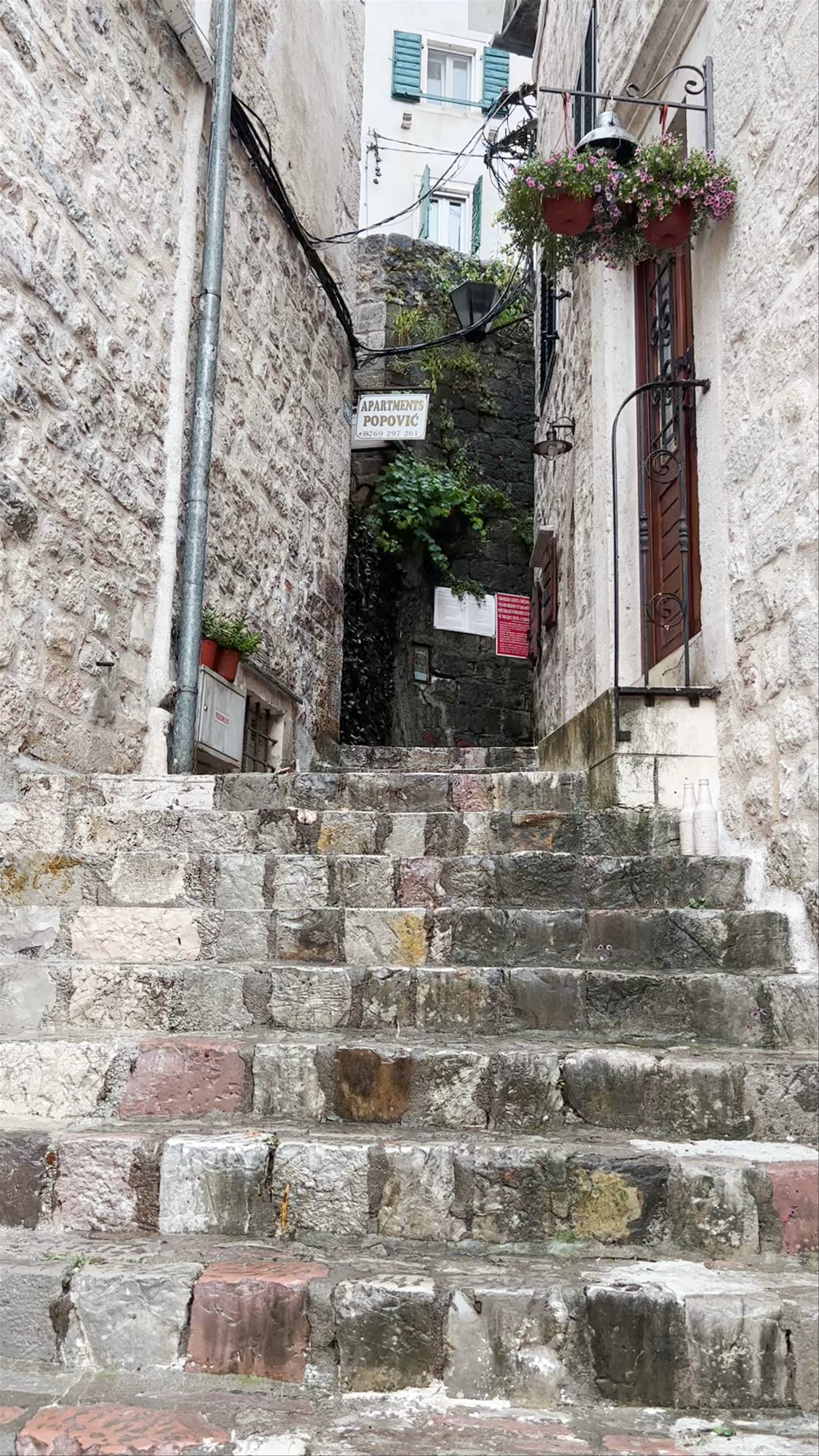 Caffe Bar Perper: Charming Old Town Vibes in Kotor, Montenegro