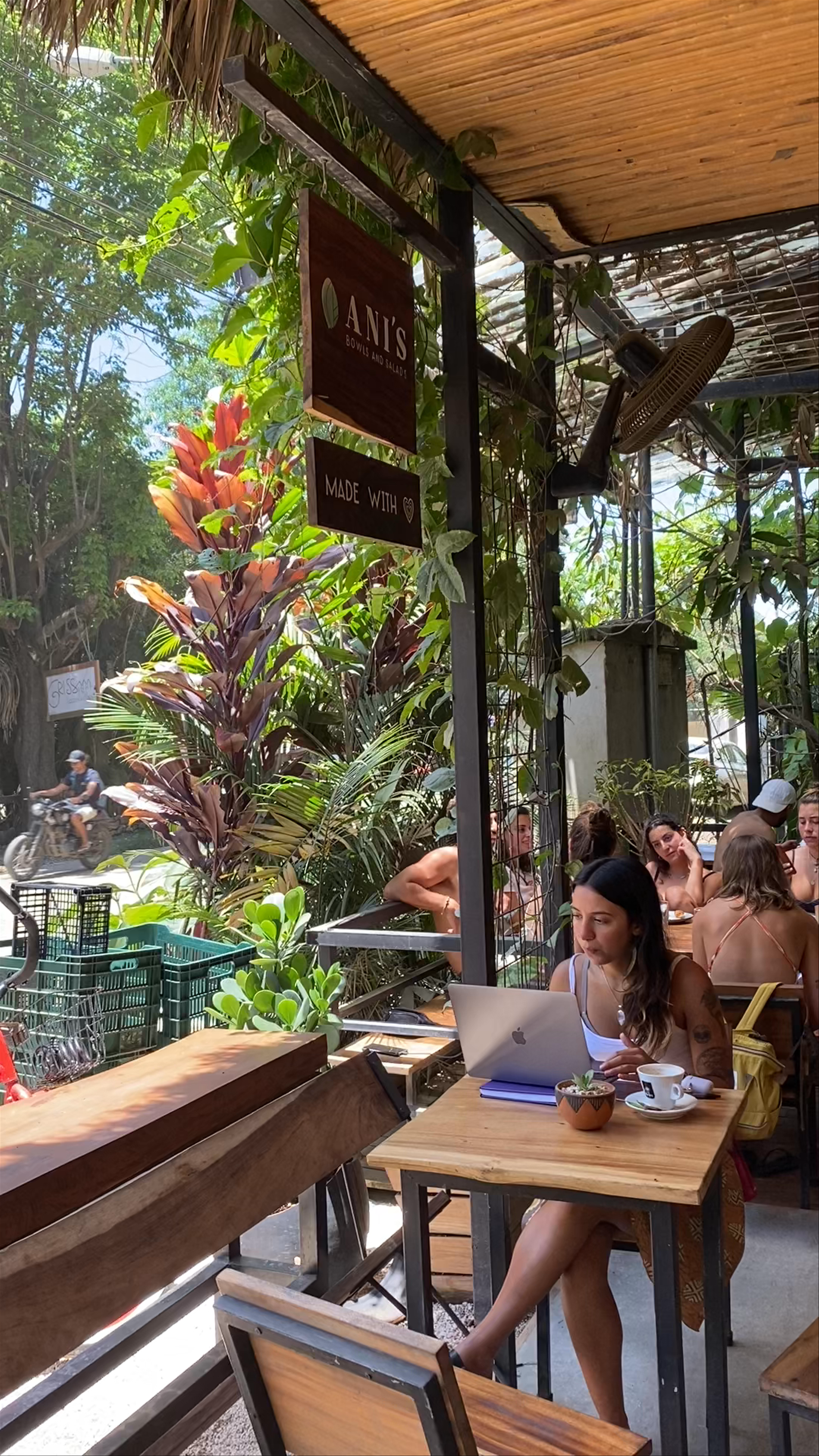 Ani's bowls and salads