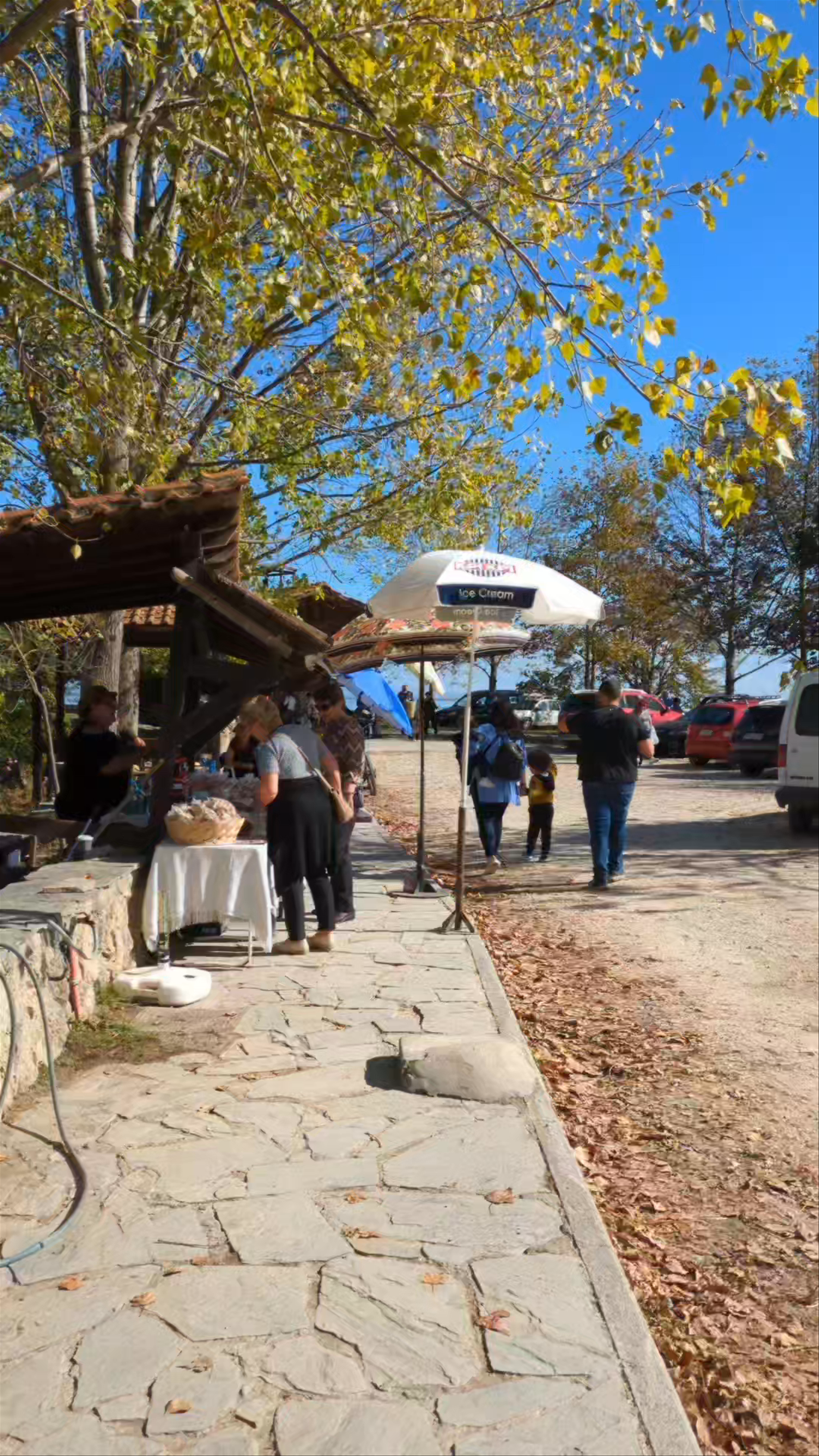 Discovering the Tranquil Beauty of Kerkini Lake National Park, Greece