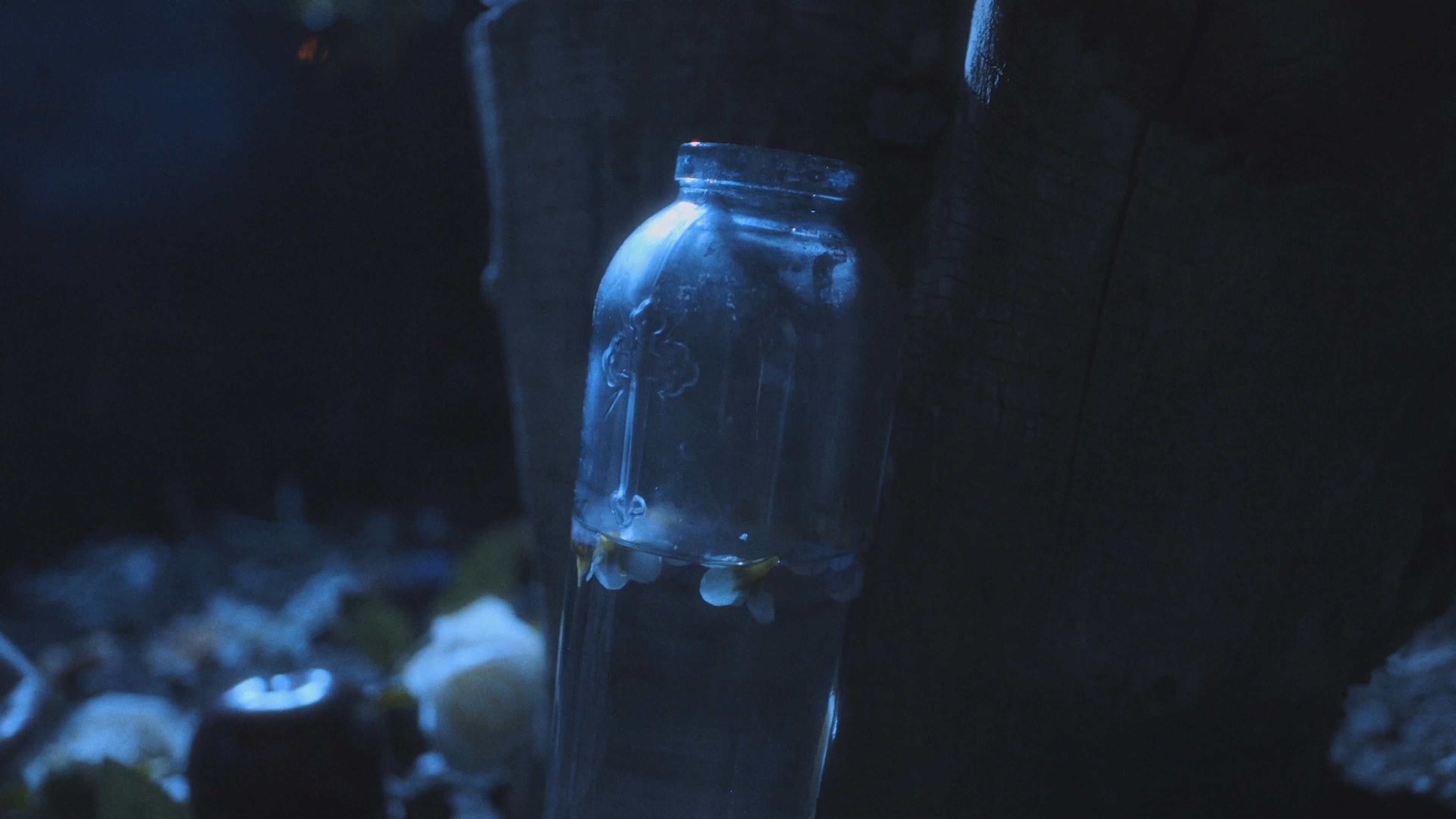 A young woman wanders through a smoke-filled, nocturnal forest and retrieves a dark, symbolic apple from a hidden setting. Her expressions shift from concern to a tense, dramatic realization as she interacts with the mysterious environment.