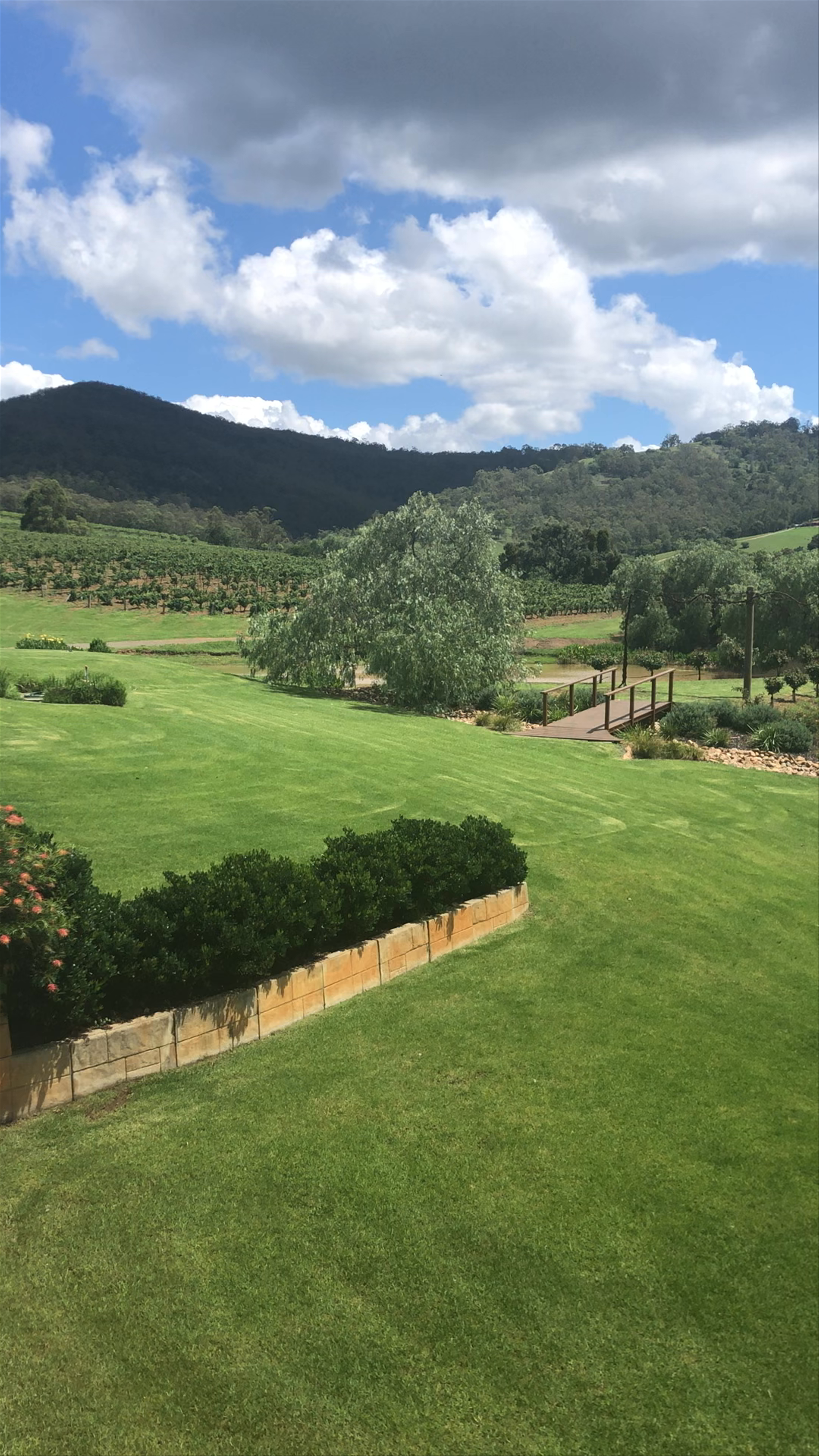 Ivanhoe Wines Cellar Door