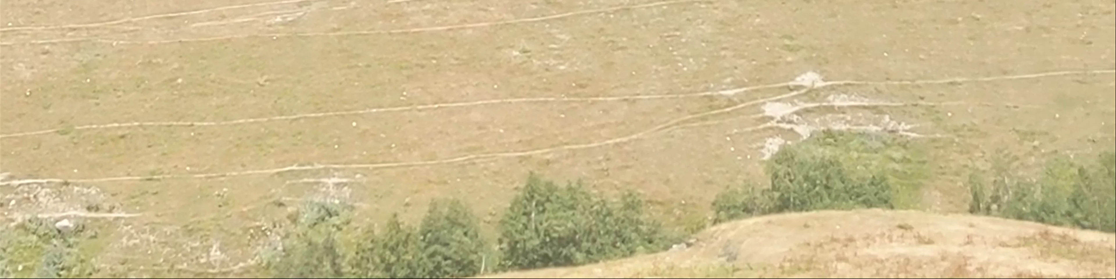 Ushguli Cabins კოტეჯები