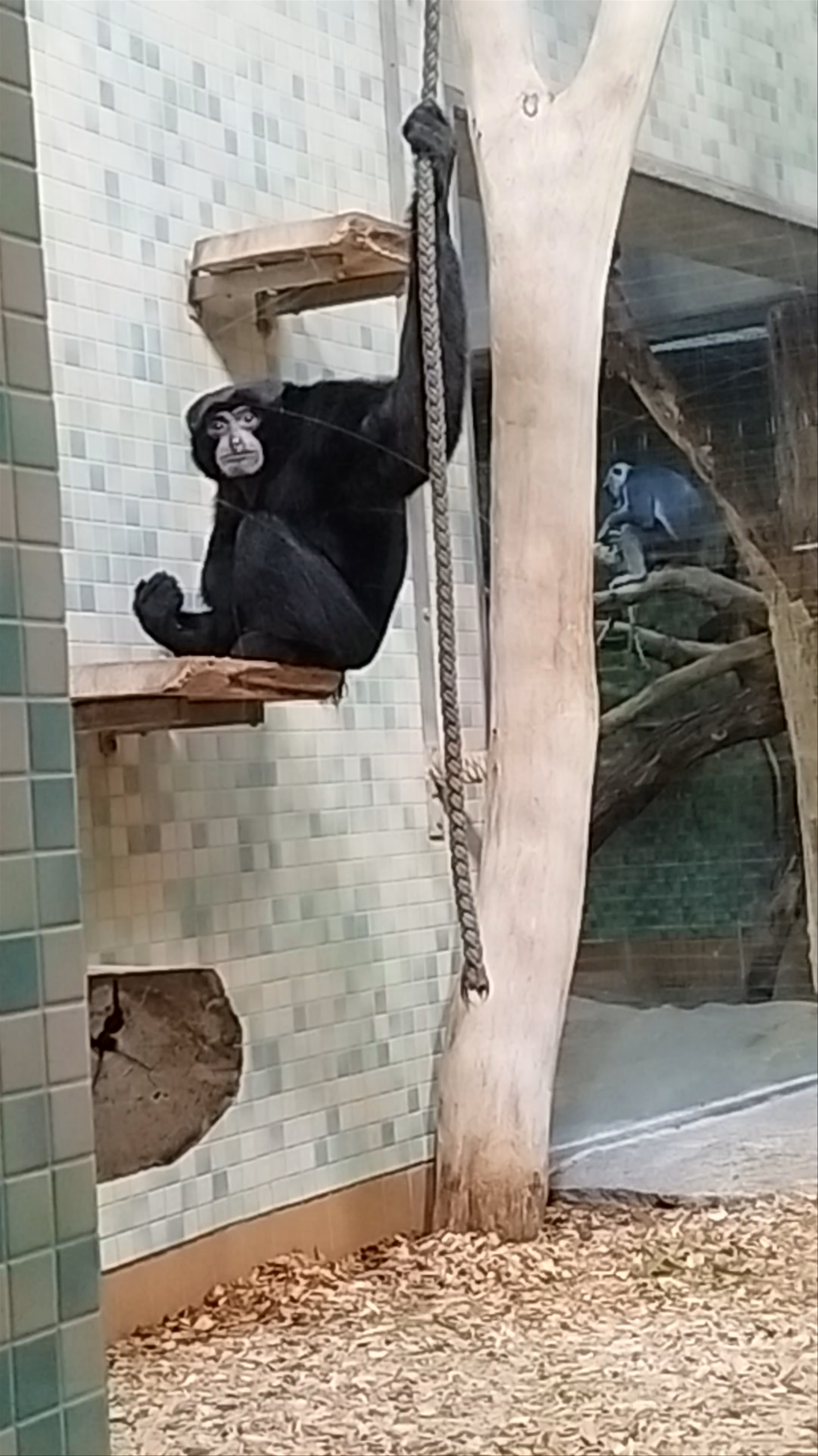 Zoo Berlin