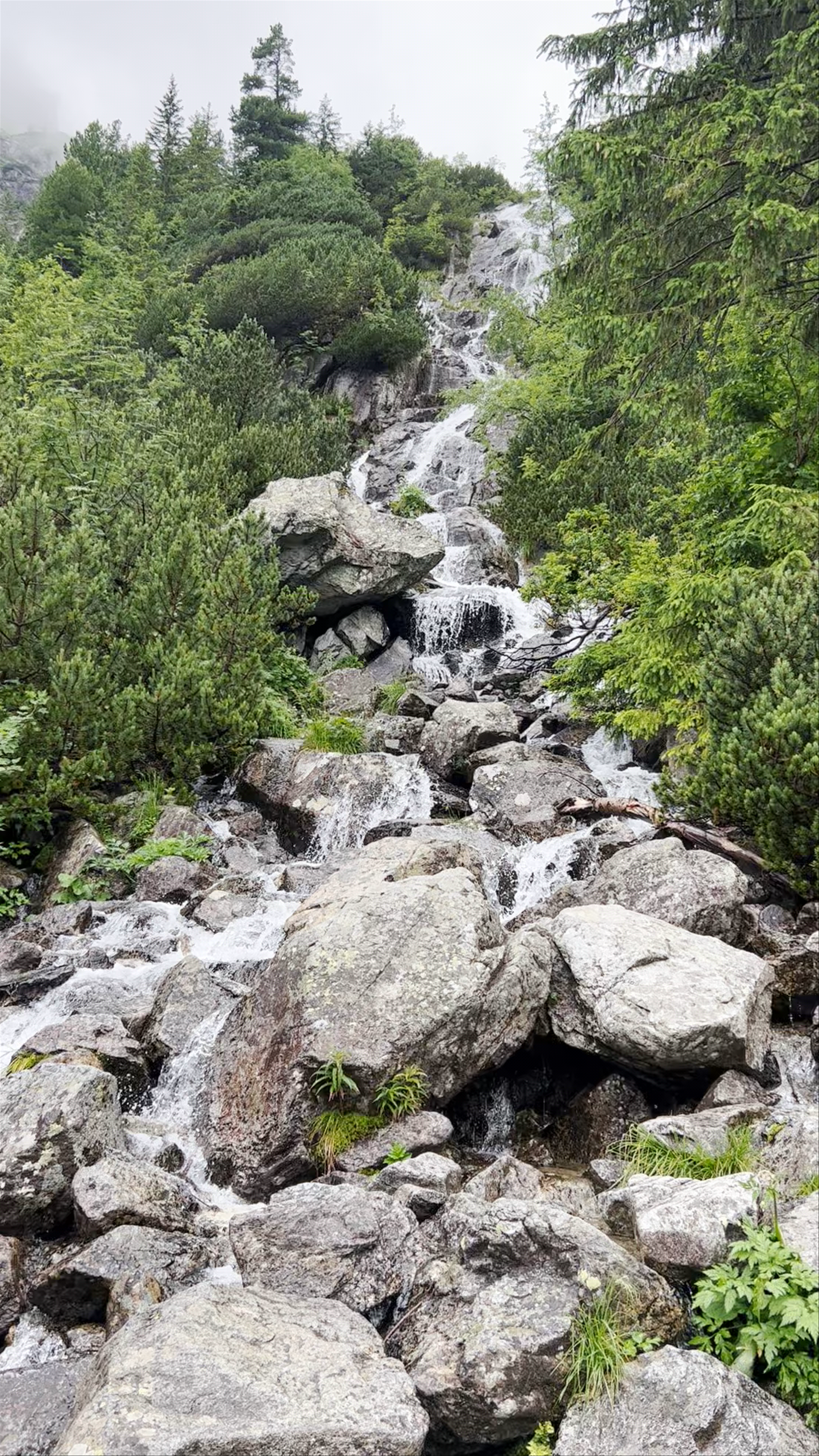 Morskie Oko