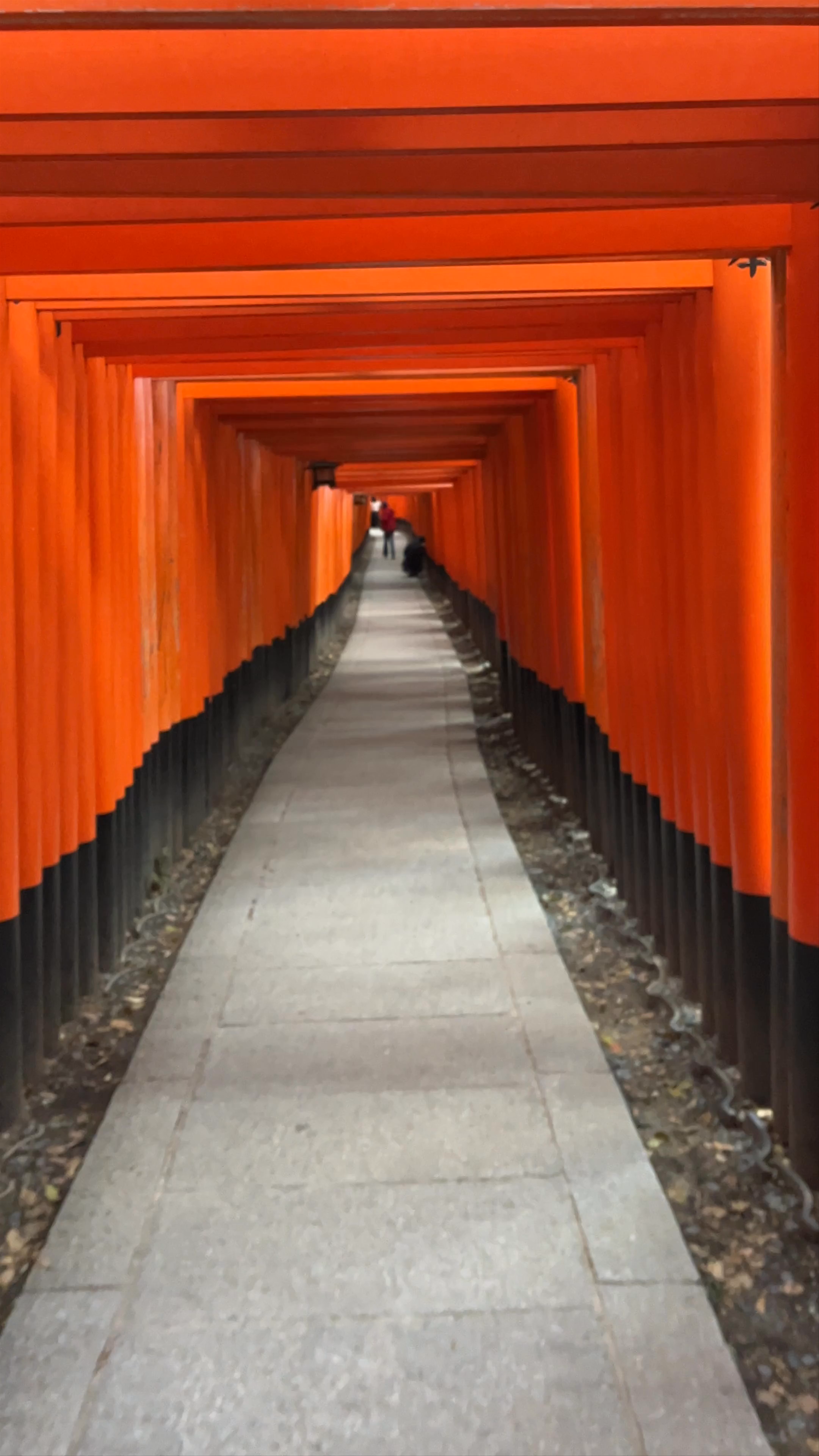 Senbon Torii (Portada de Mil Torii)