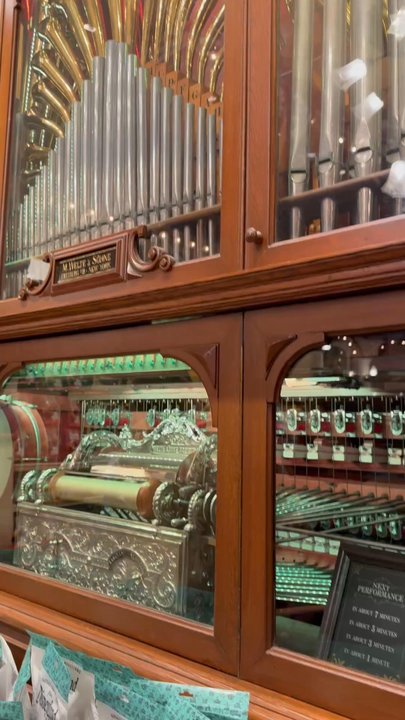 Penny Arcade - Penny Arcade music - Gift Shops Near Me - Anaheim, California