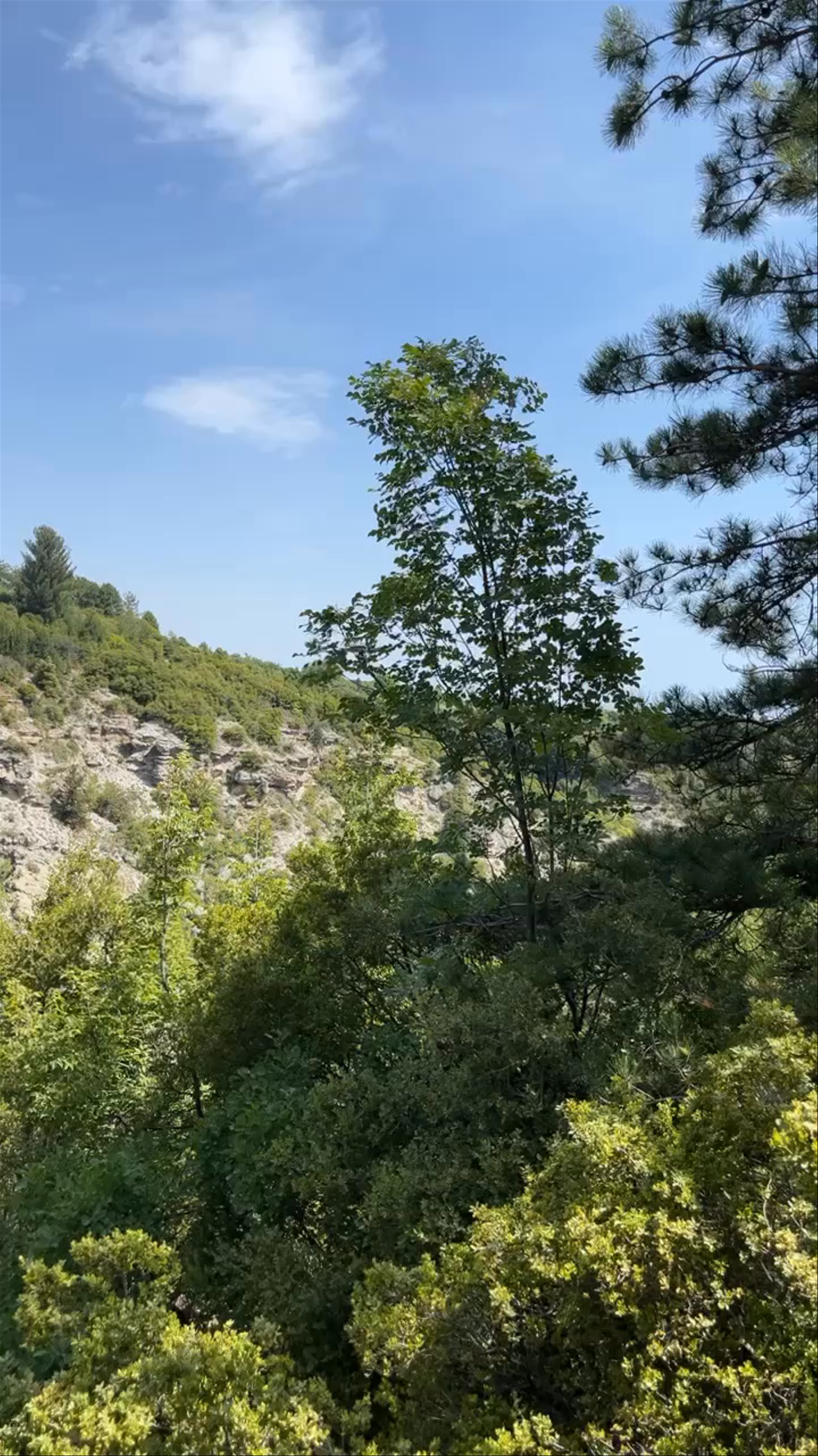 Enipeas Gorge