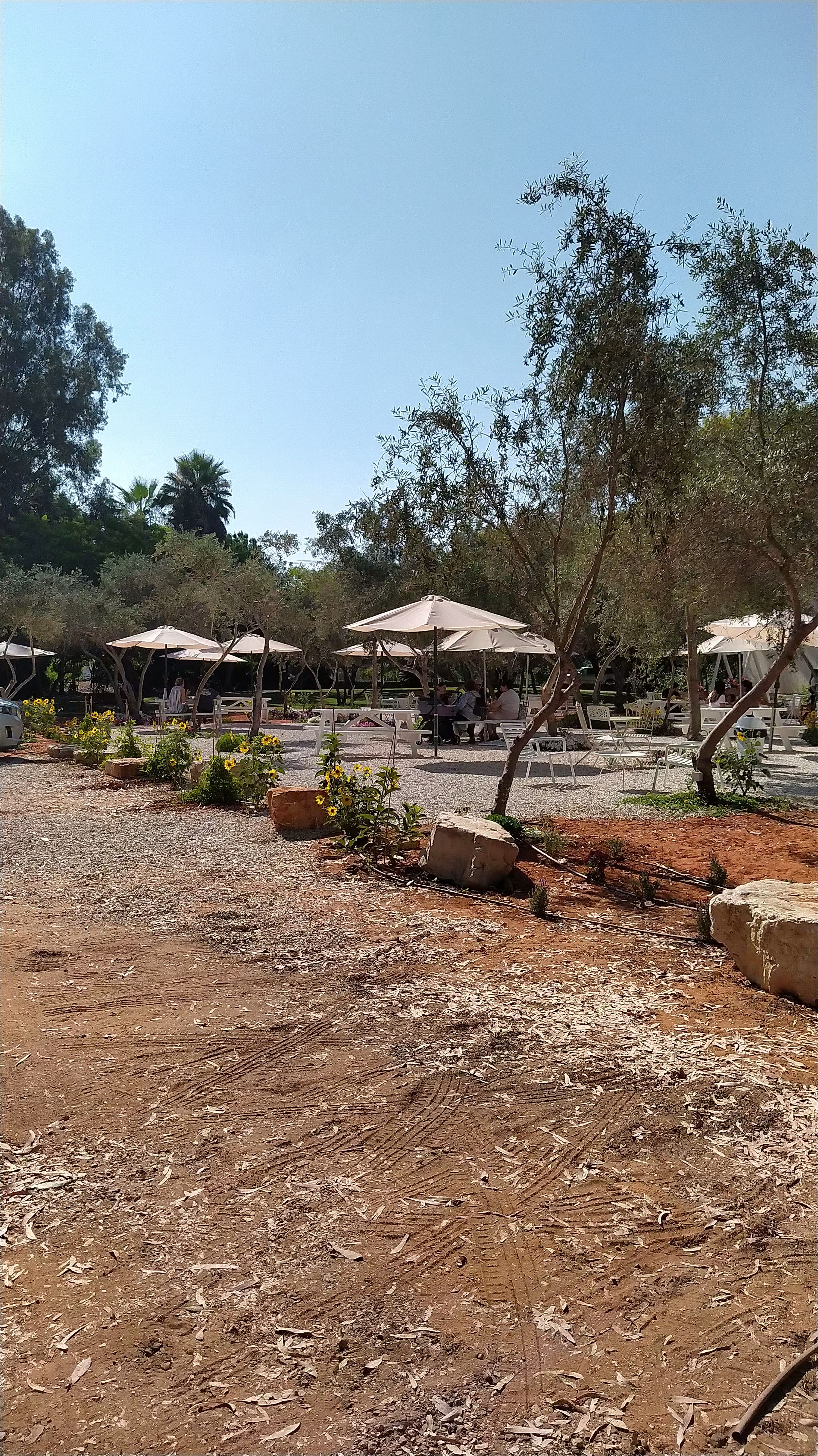 נינה | Nina עגלת קפה