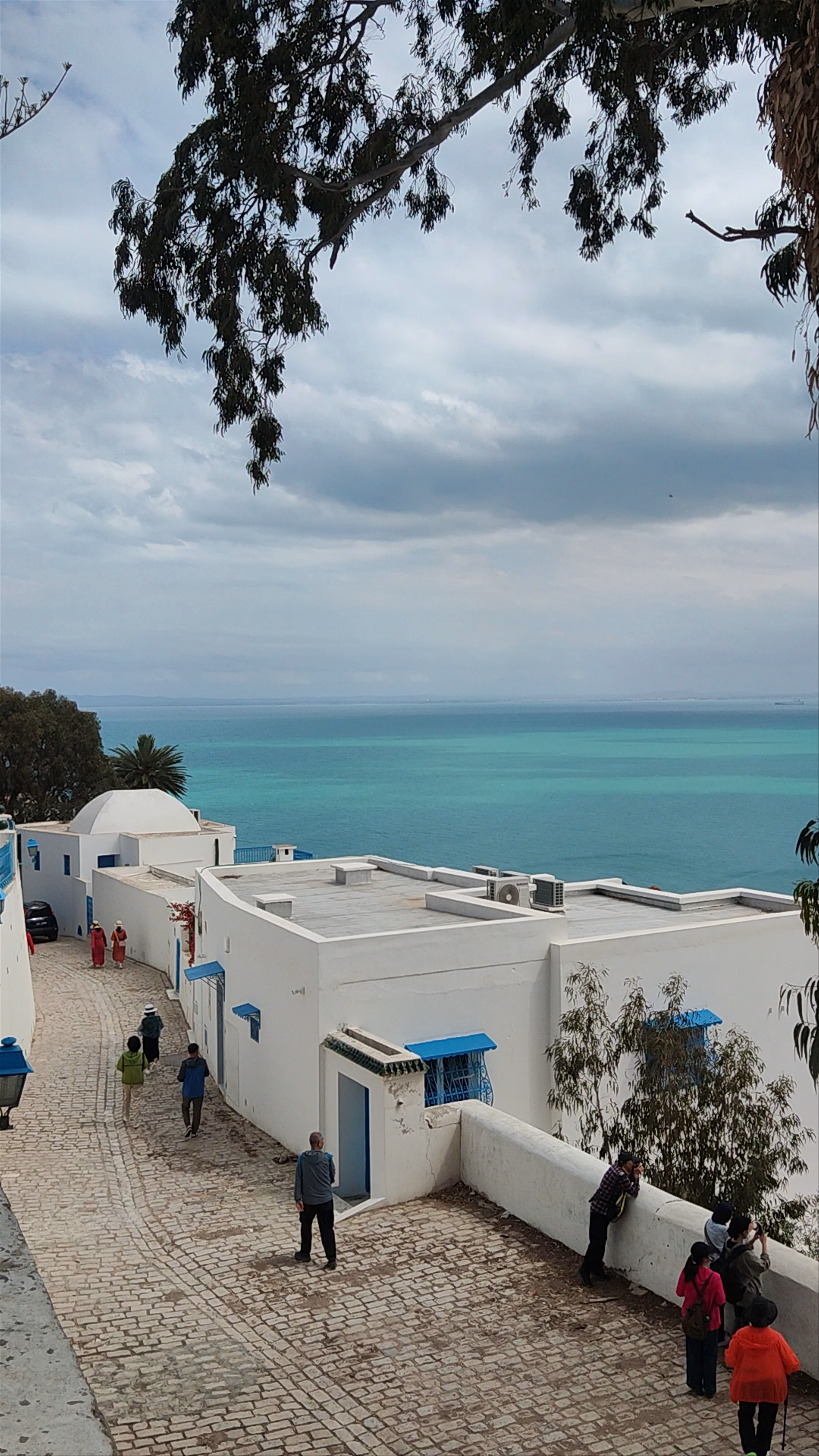 Sidi Bou Said: Coastal Serenity and Timeless Charm in Tunisia