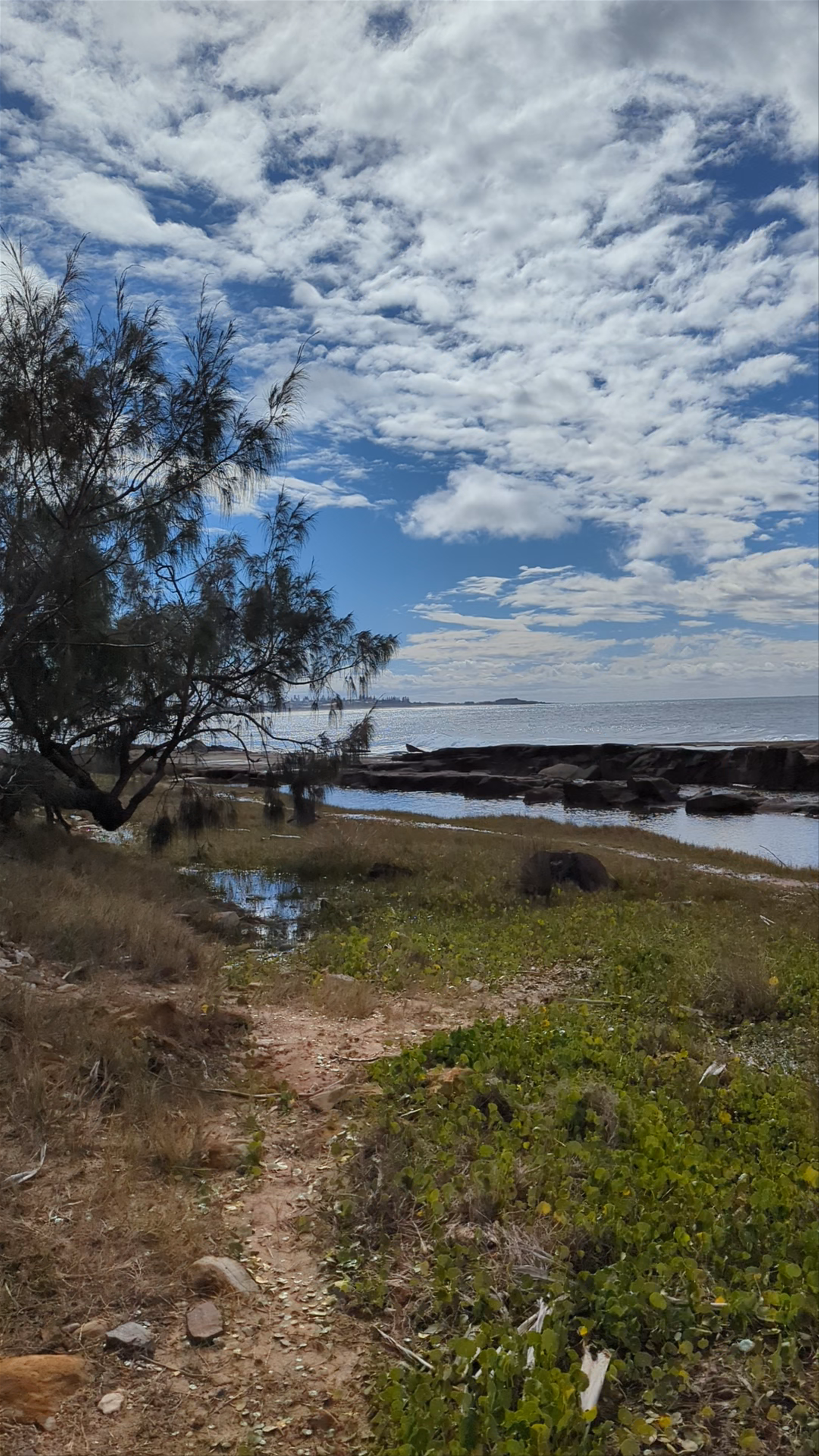 Shelly Beach Headland