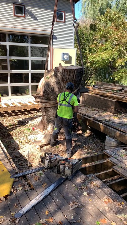 Nick's Tree Service - This was the final piece of the huge tree that Nick's tree service removed. The crane operator told us it weighed 4500 pounds. - Tree Services Near Me - Tulsa, Oklahoma