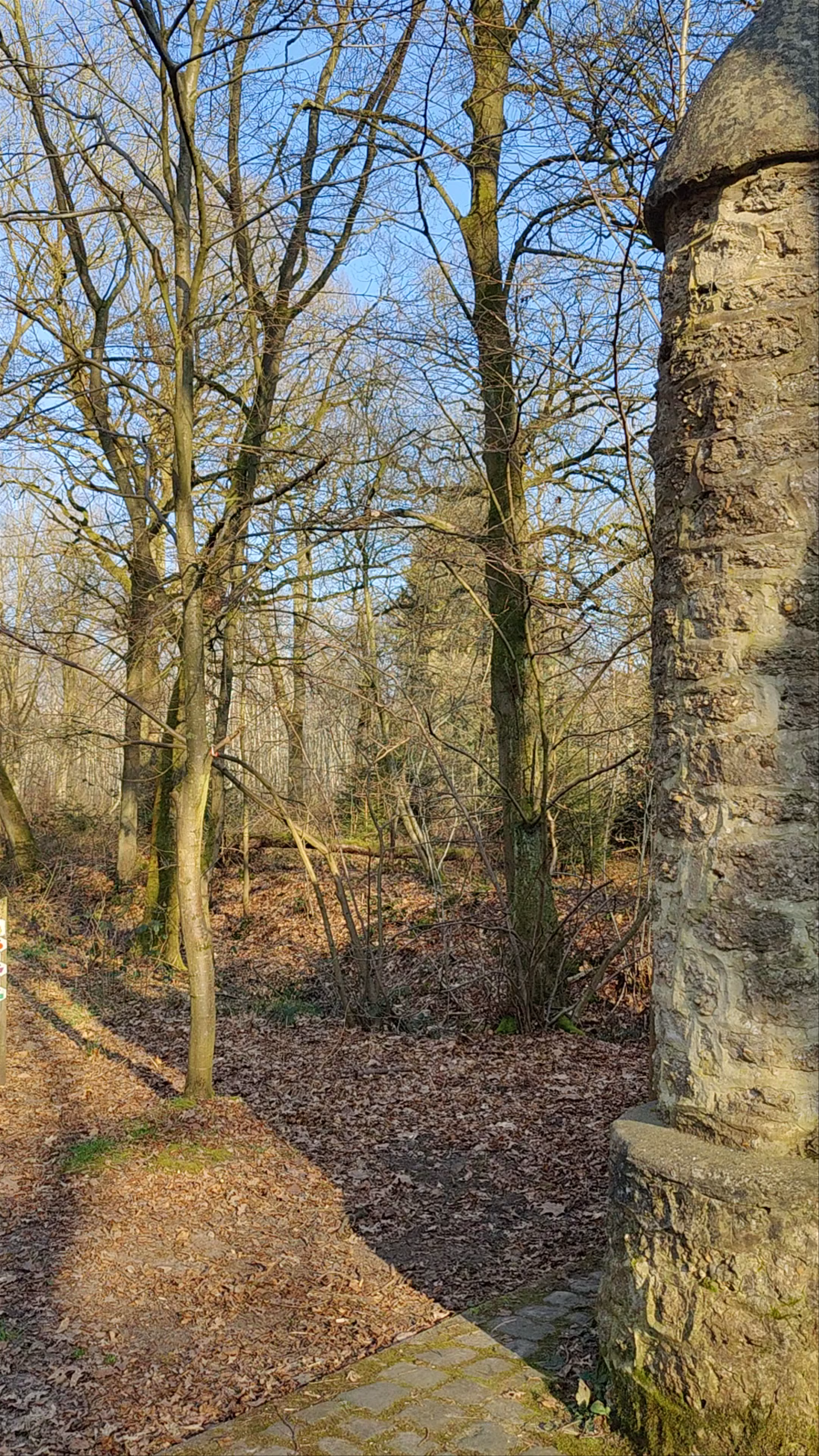 Nationaal Park Hoge Kempen