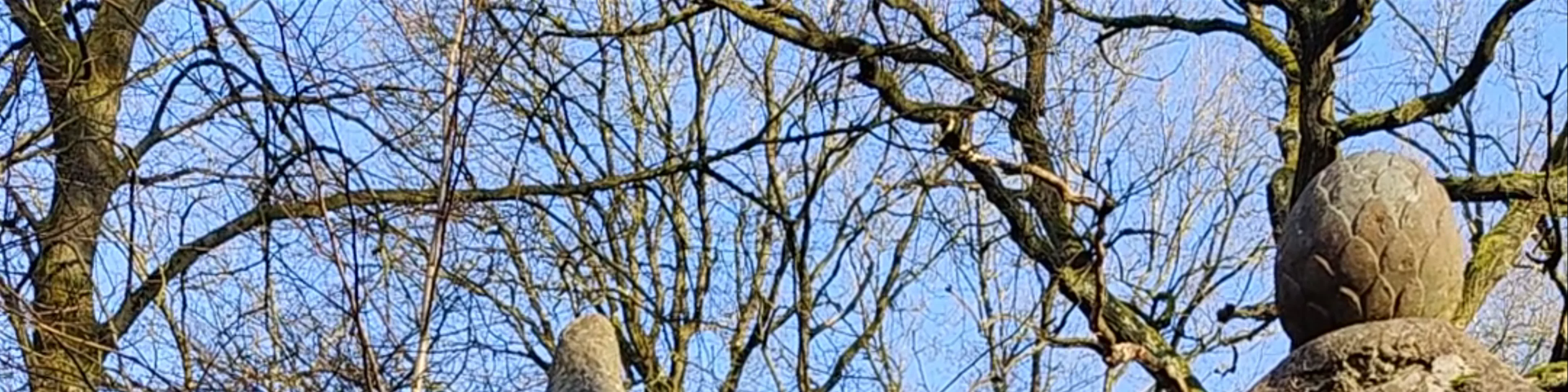 Nationaal Park Hoge Kempen
