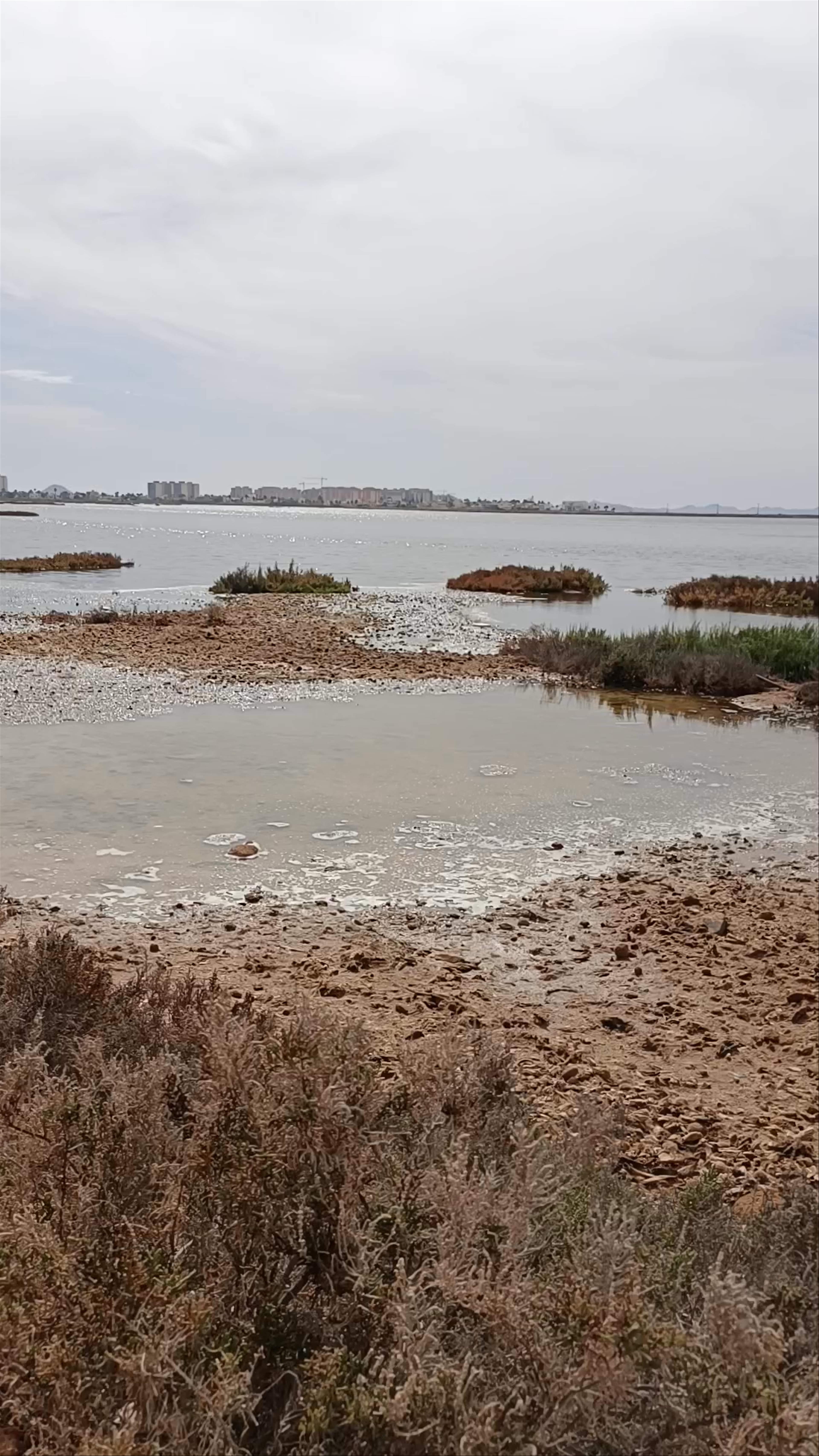 Serene Coastal Walk at Encañizadas, San Pedro del Pinatar