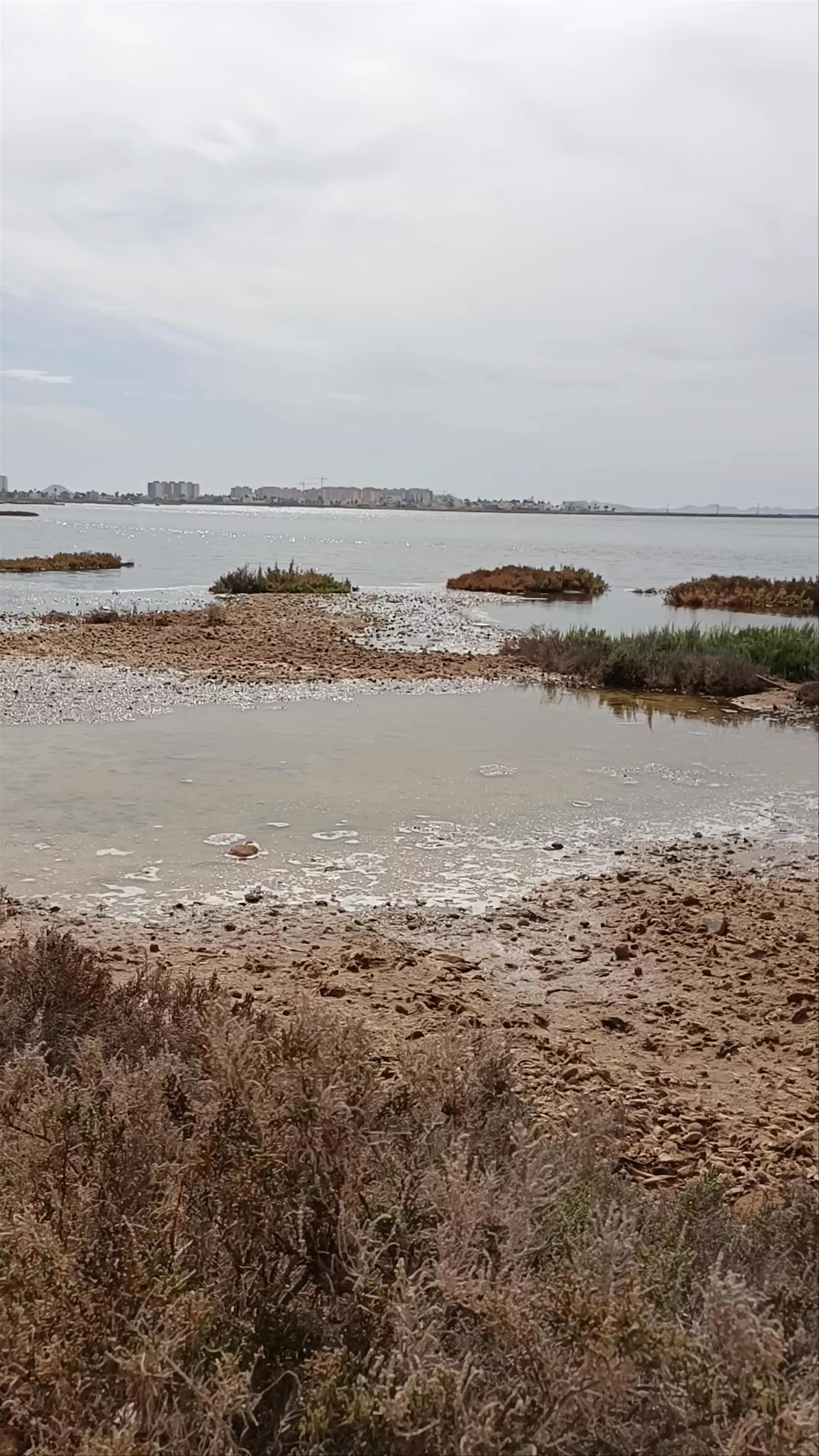 Salinas de San Pedro