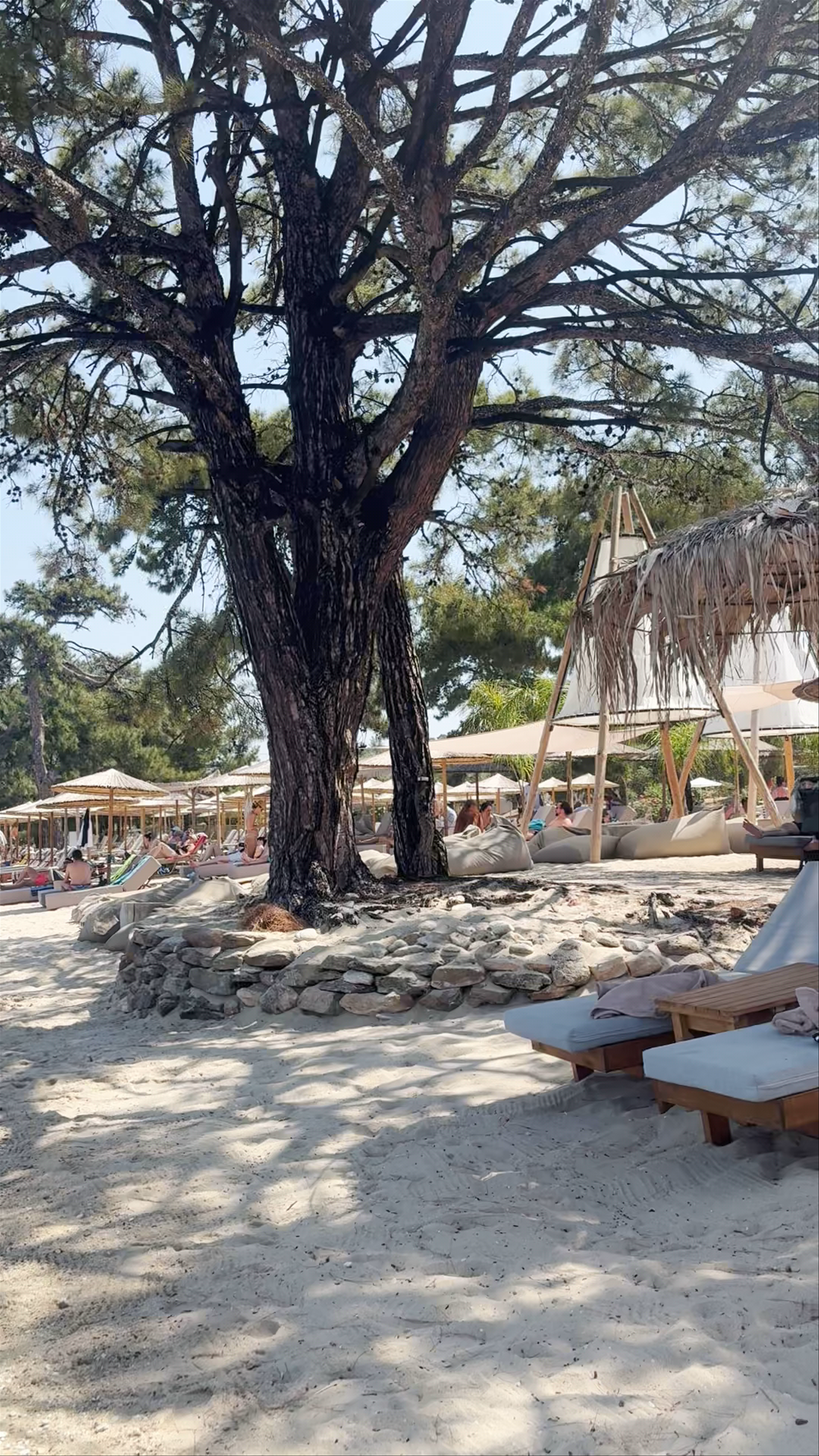 Paralia Pachi