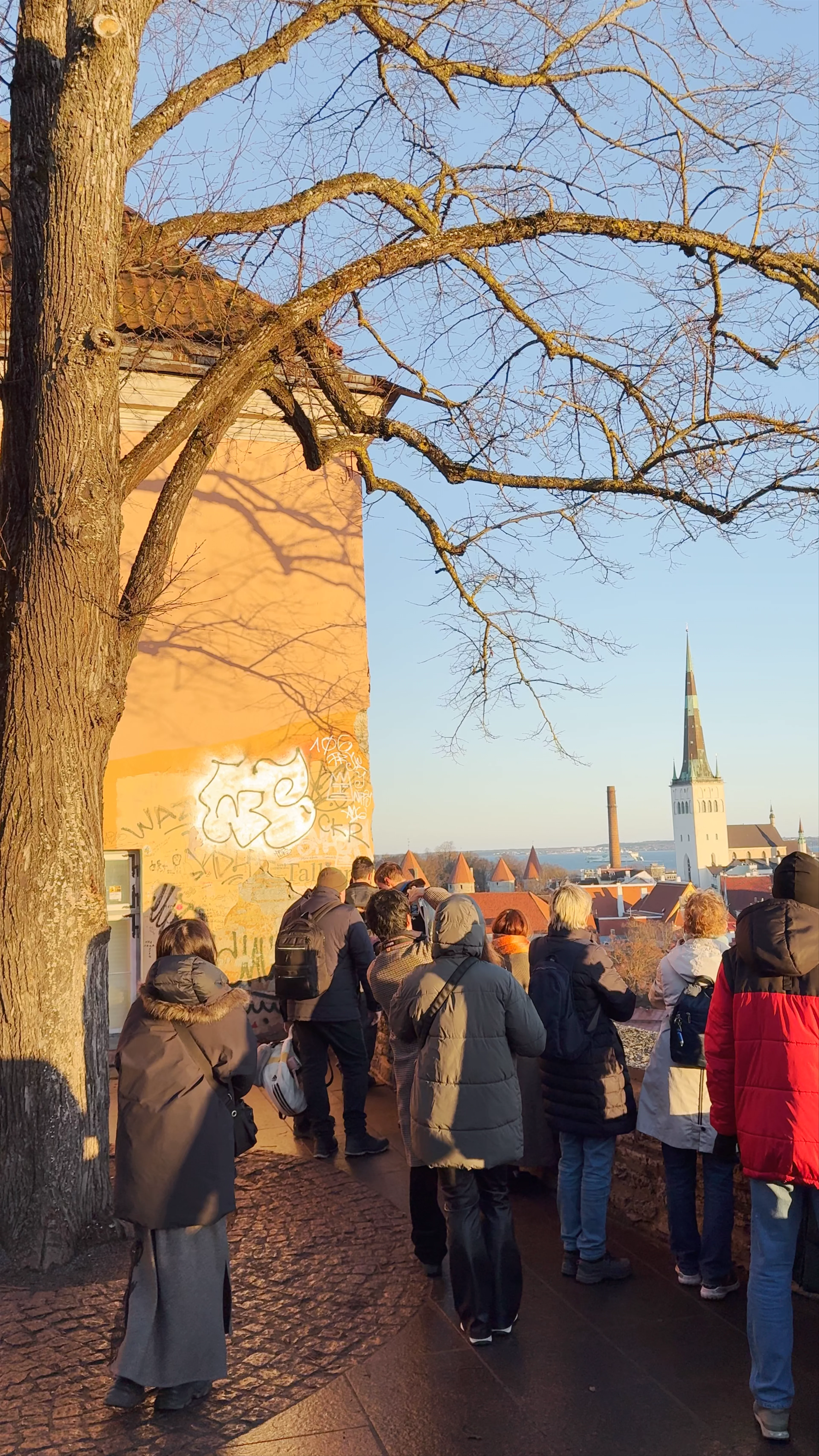 Patkuli Viewing Platform, Rahukohtu tänav, Tallinn, Estonia
