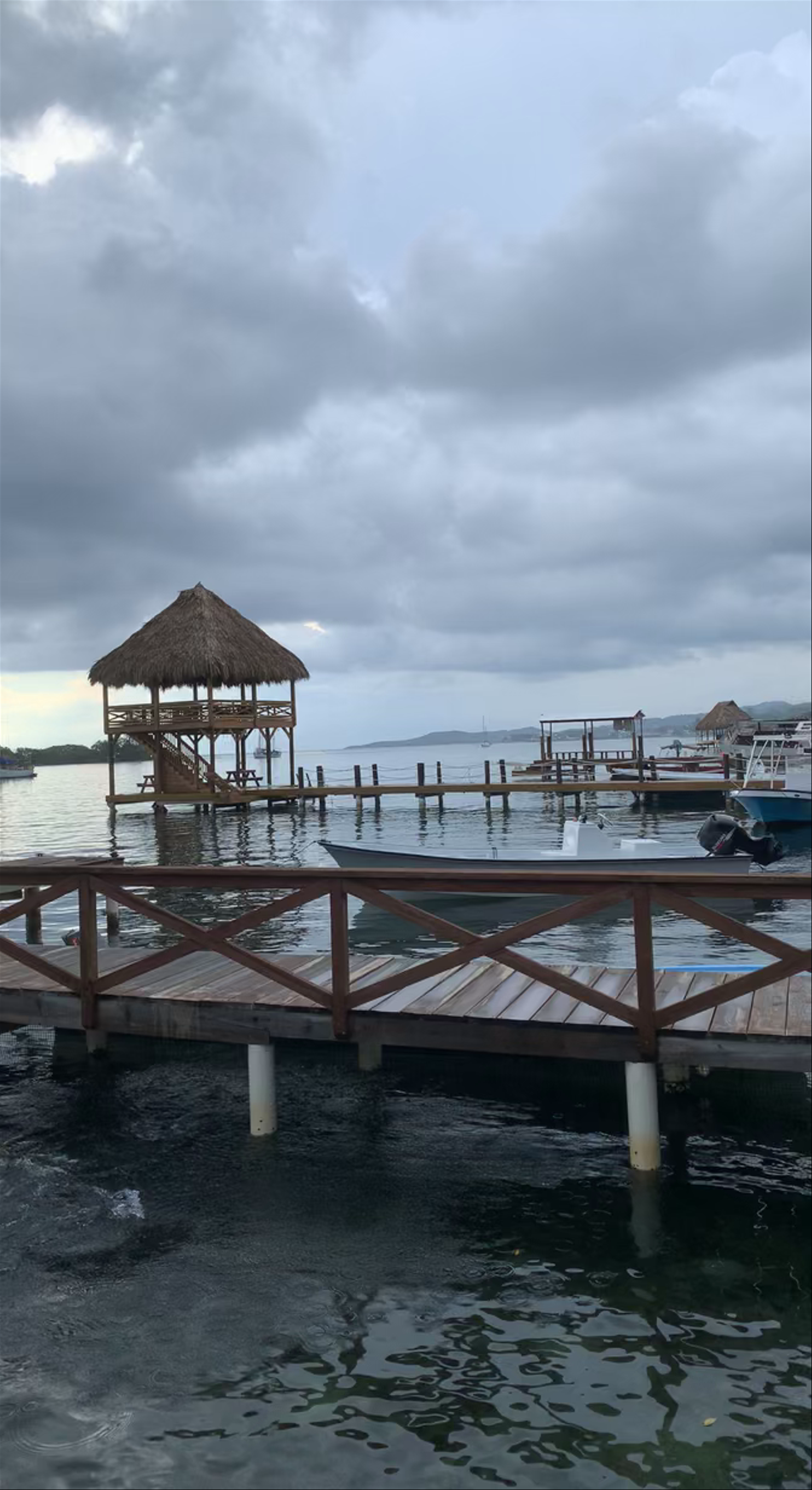 Arch's Iguana and Marine Park