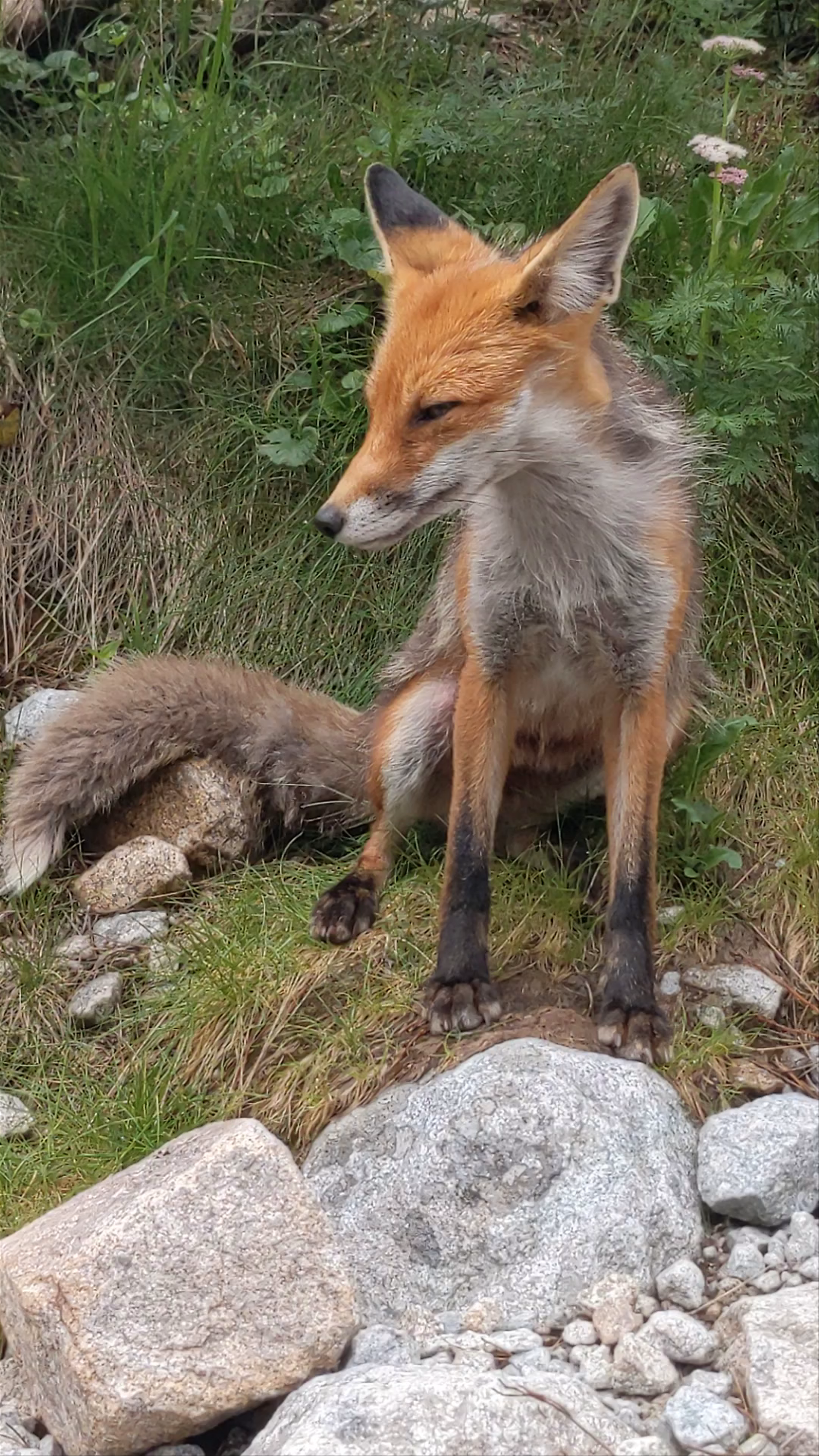 Zelené pleso Kačacie