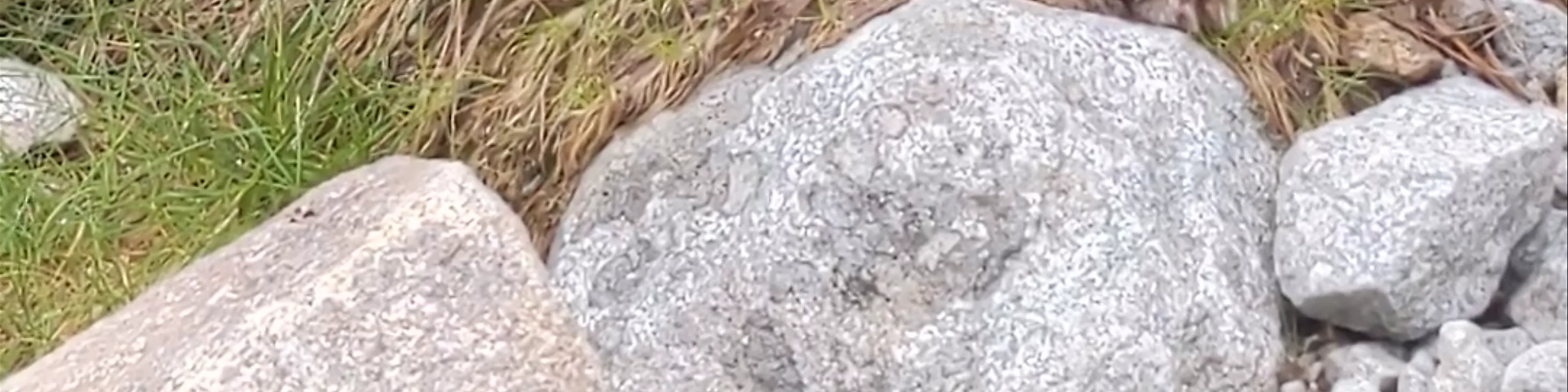 Zelené pleso Kačacie