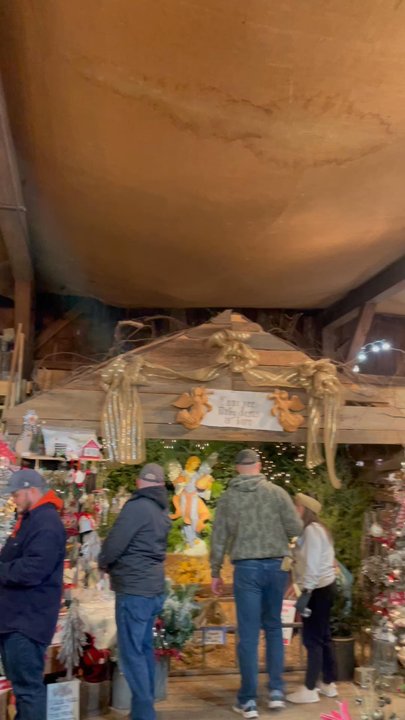 Big Tree Plantation - Video of interior of the gift shop - Christmas Trees Near Me - Morrow, Ohio