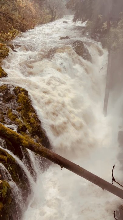 Sol Duc Falls - Hiking Near Me