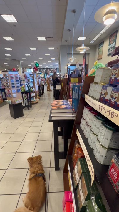 Barnes & Noble - Oceanside - Clean | Dog-Friendly | Great Selection - Bookstores Near Me - Oceanside, California