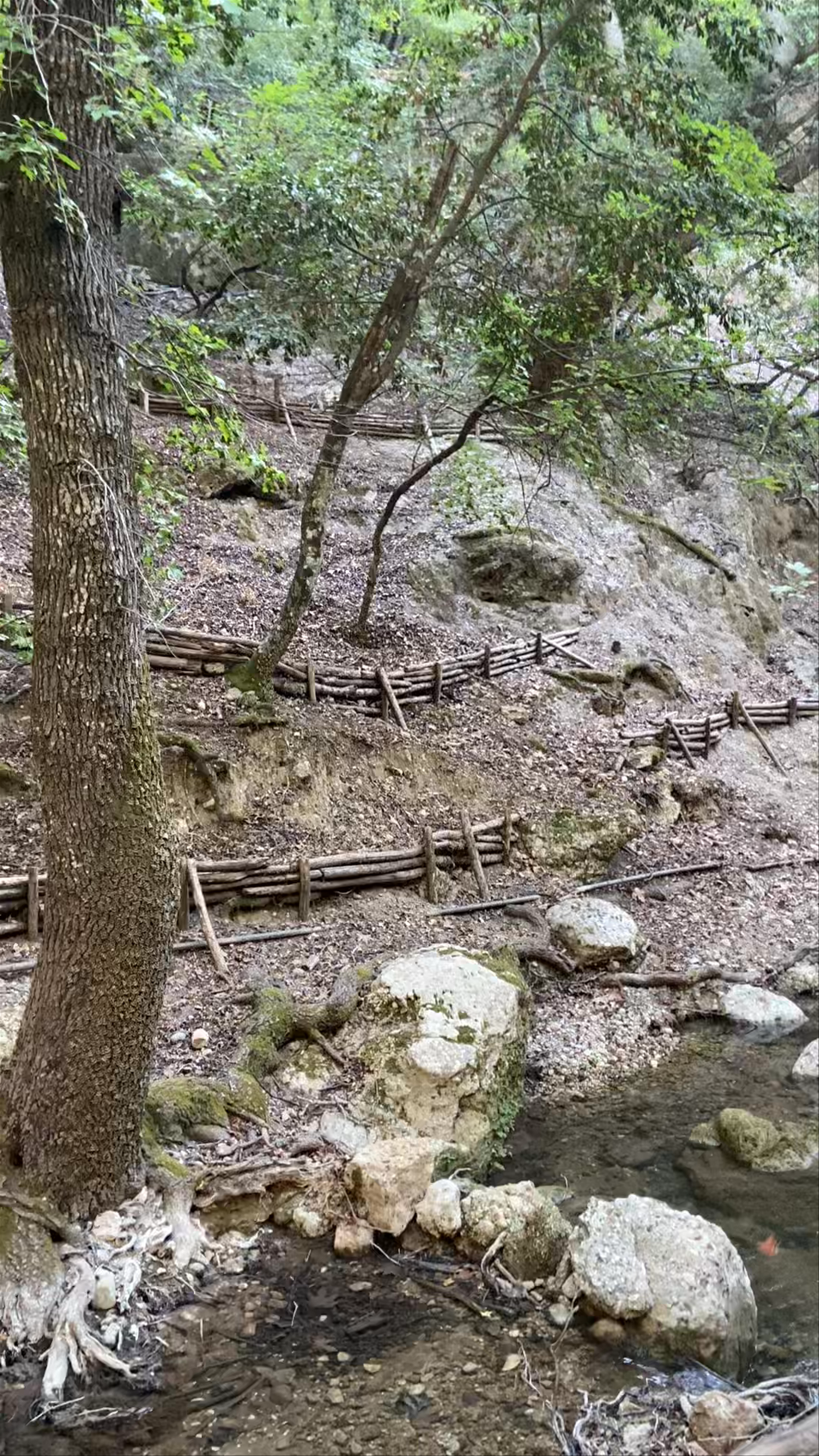 Butterflies Valley: Lush Nature Escape in Rhodes, Greece