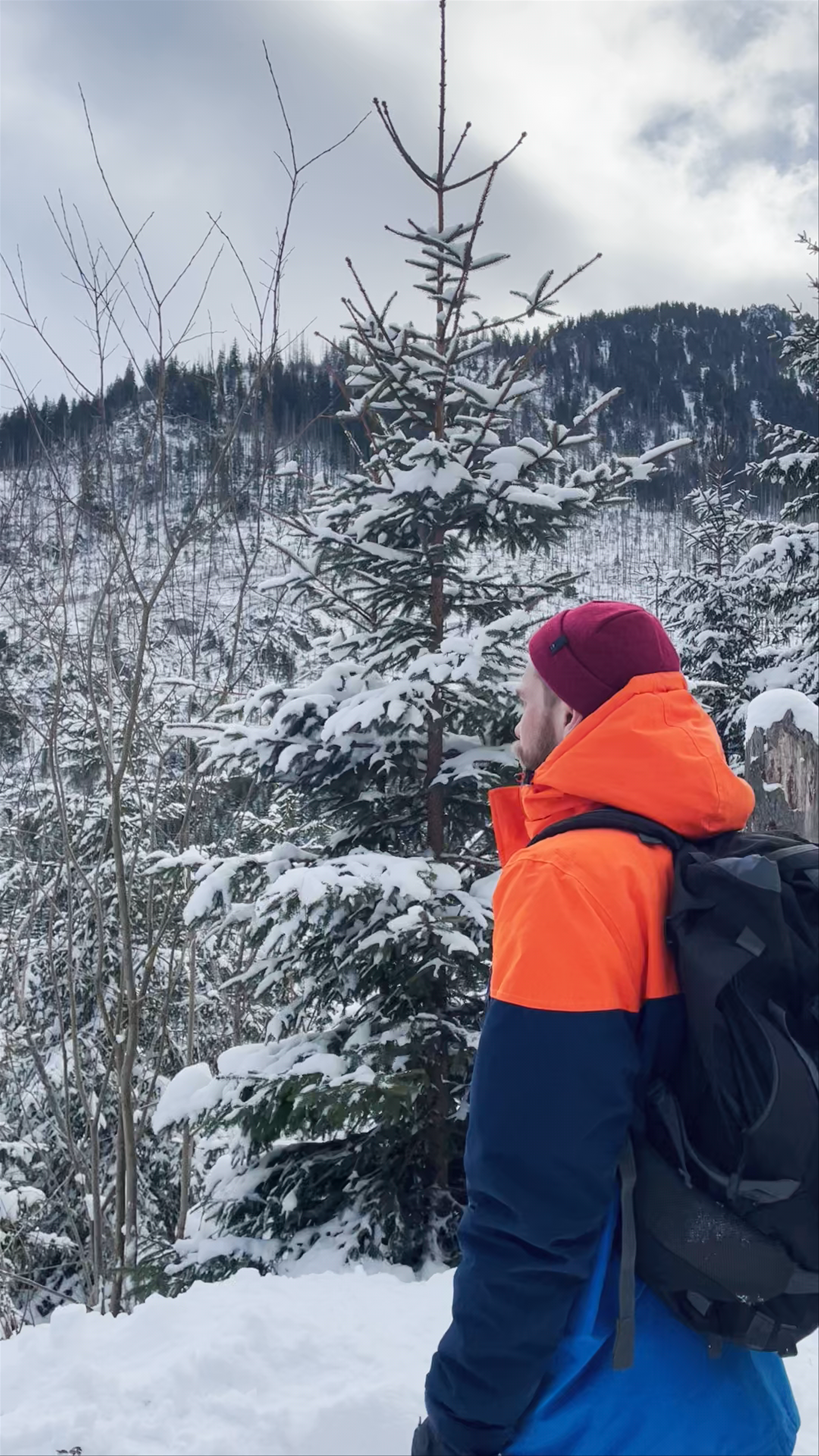 Winter Wonderland Hike at Morskie Oko, Poland