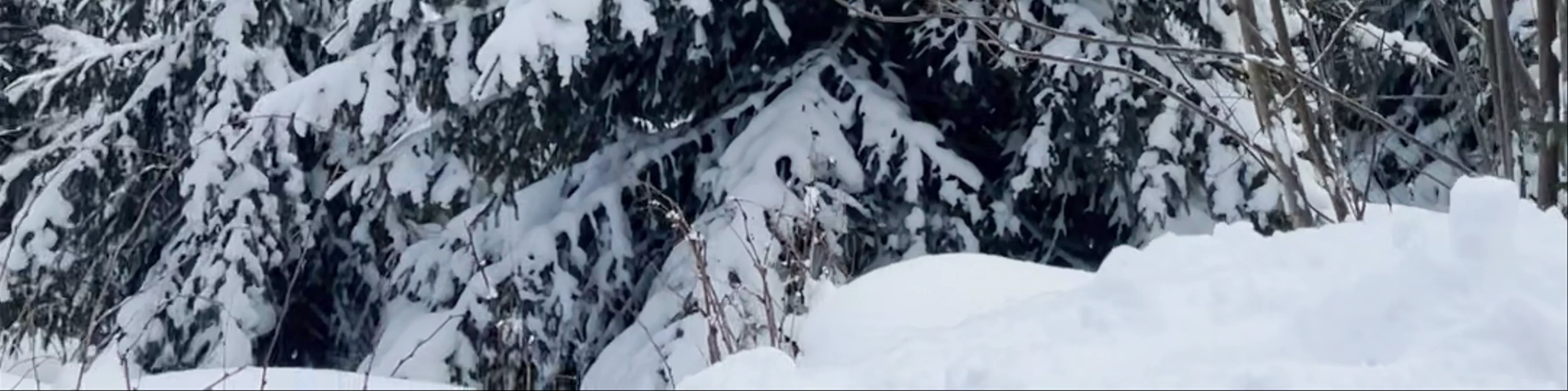 Morskie Oko