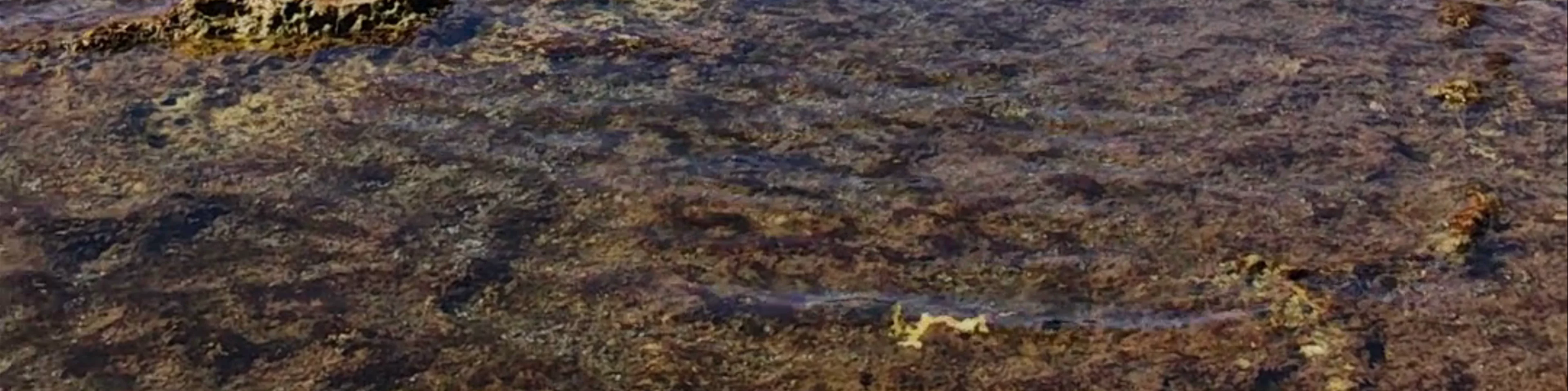 Blue Hole Dive Site