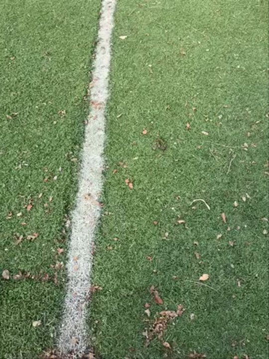 Andrews Dog Park - It's showing y'all how bad it is and this is just one section in the park - Dog Parks Near Me - Andrews, Texas