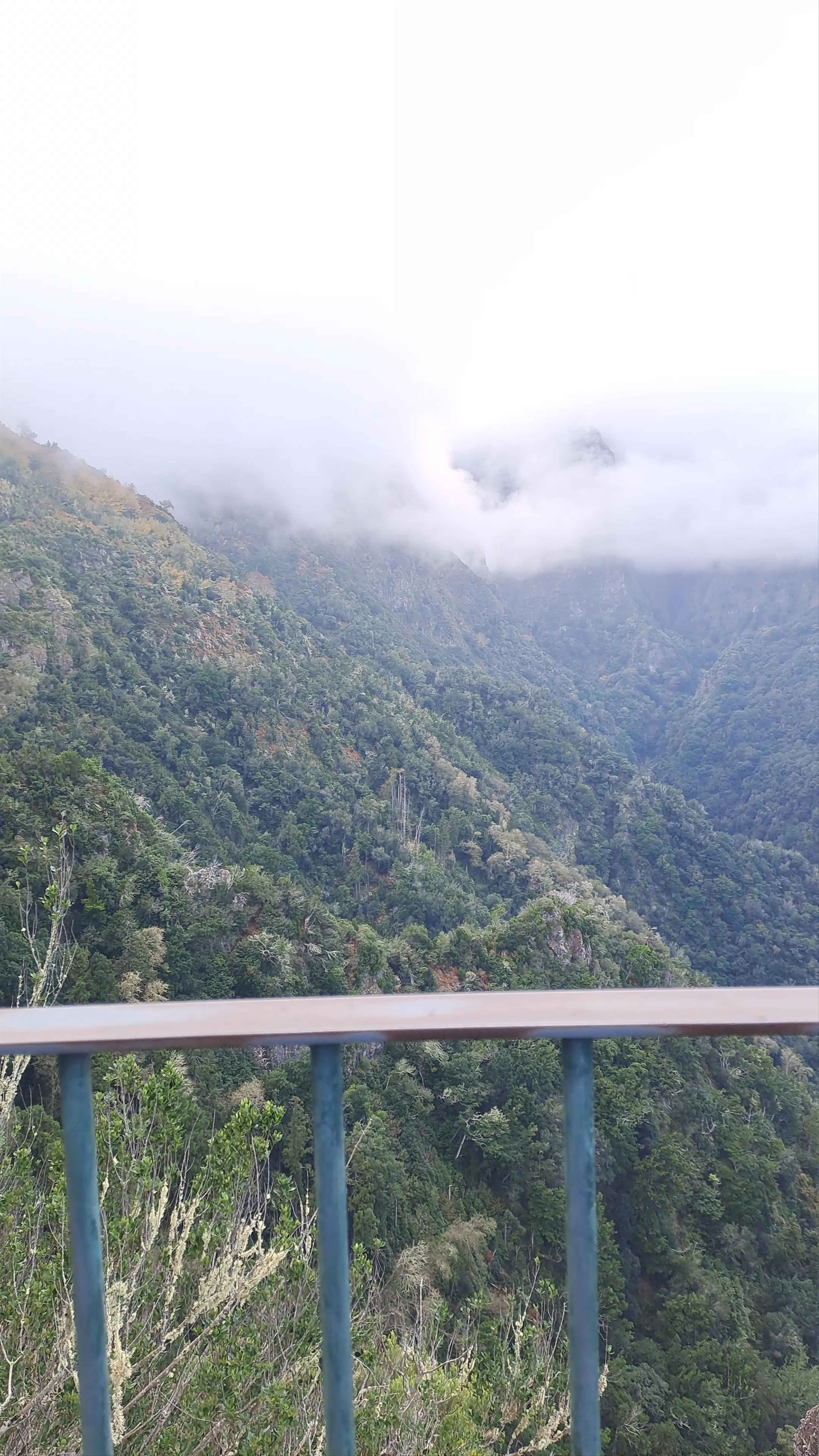 Miradouro dos Balcões: Misty Mountain Views in Ribeiro Frio, Madeira