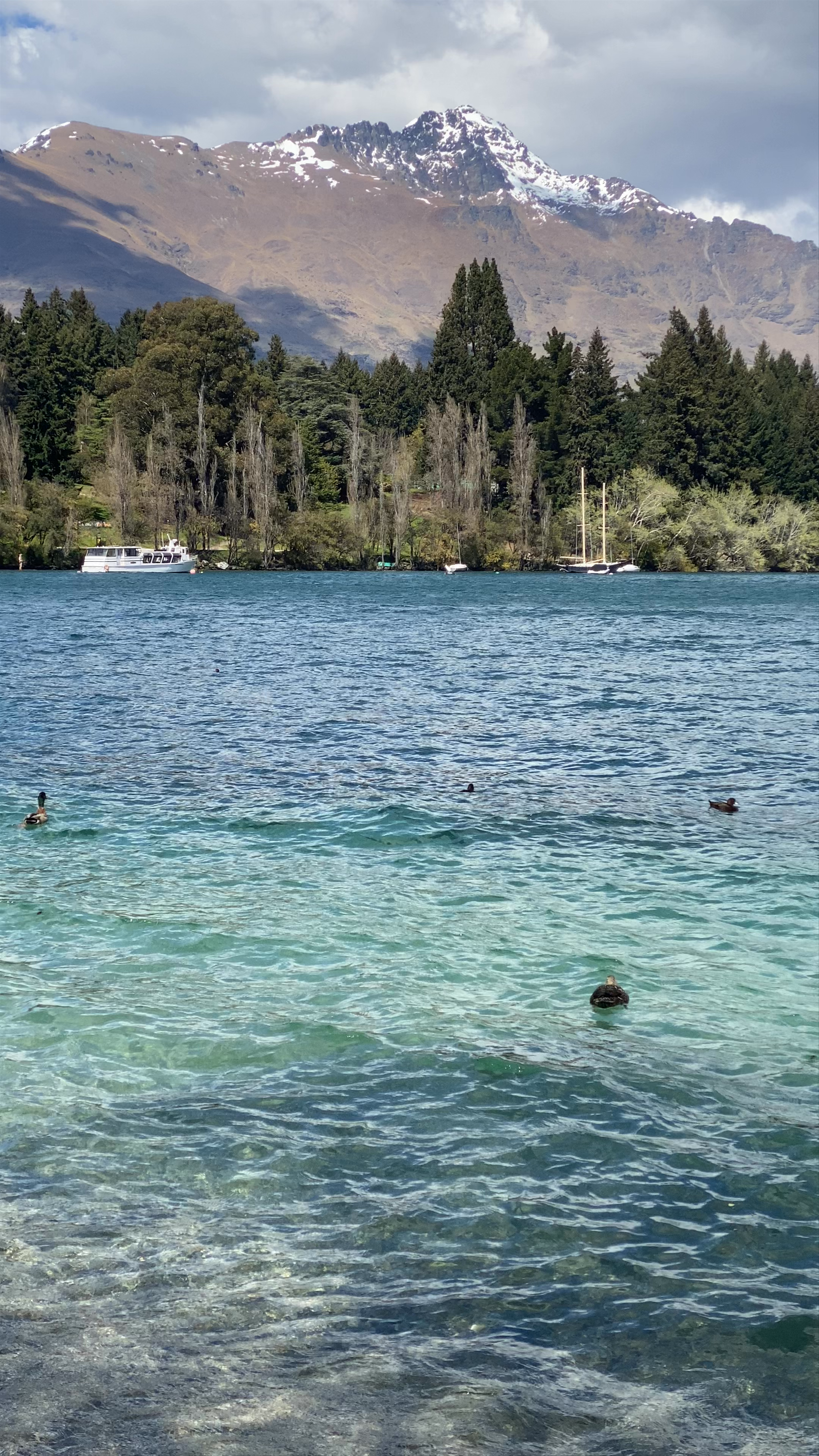 Lake Wakatipu Harbour View