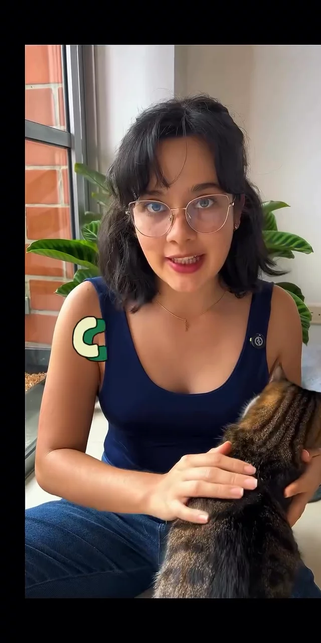 Contenido del creador