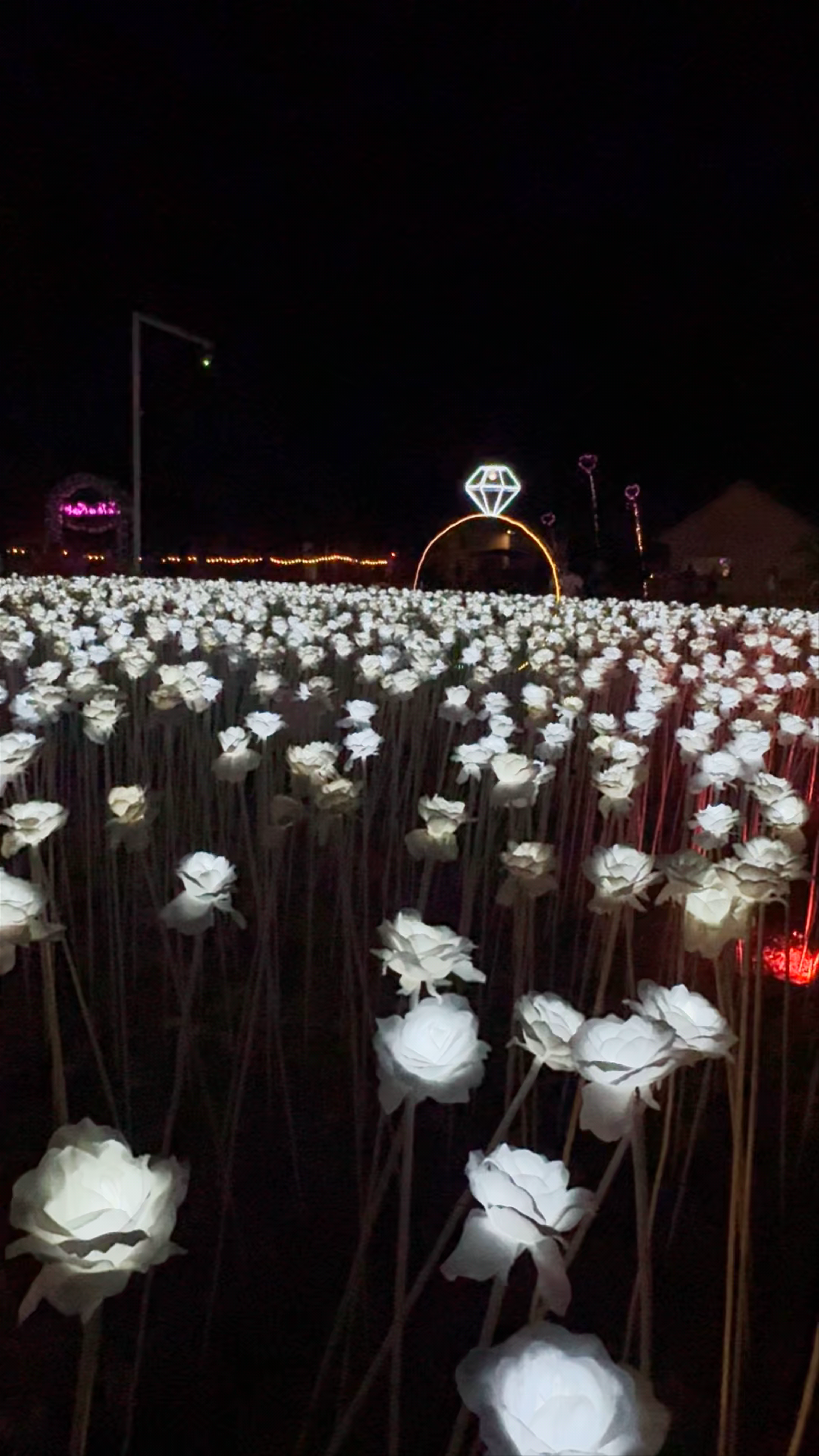 10000 Roses Cafe & More