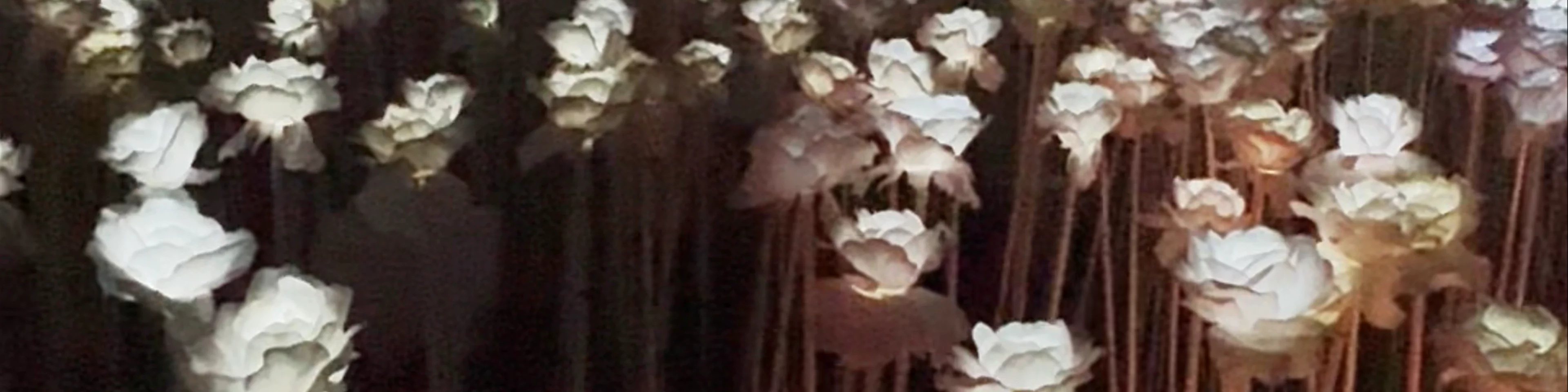10000 Roses Cafe & More