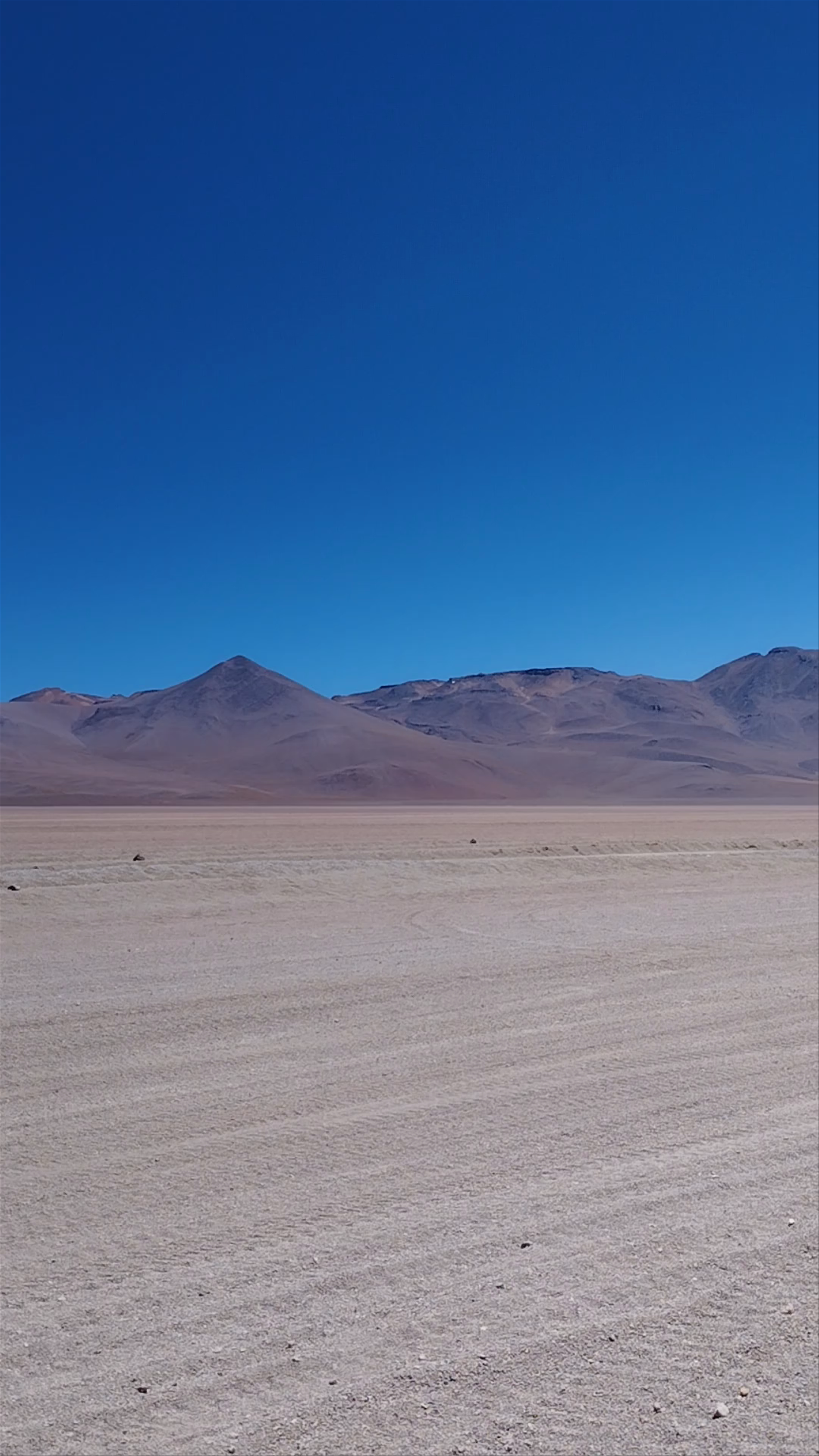 Salvador Dalí Desert