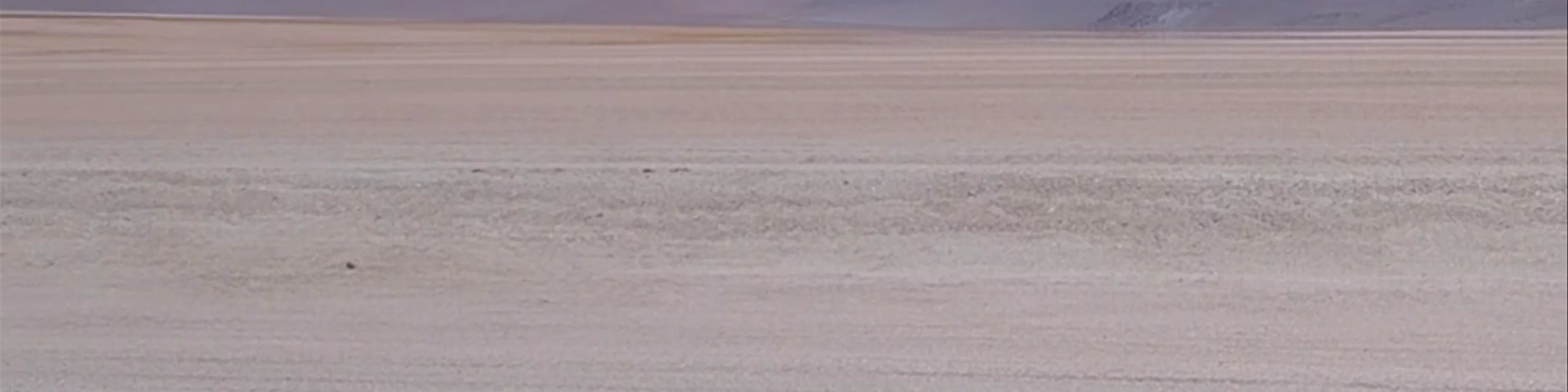 Salvador Dalí Desert