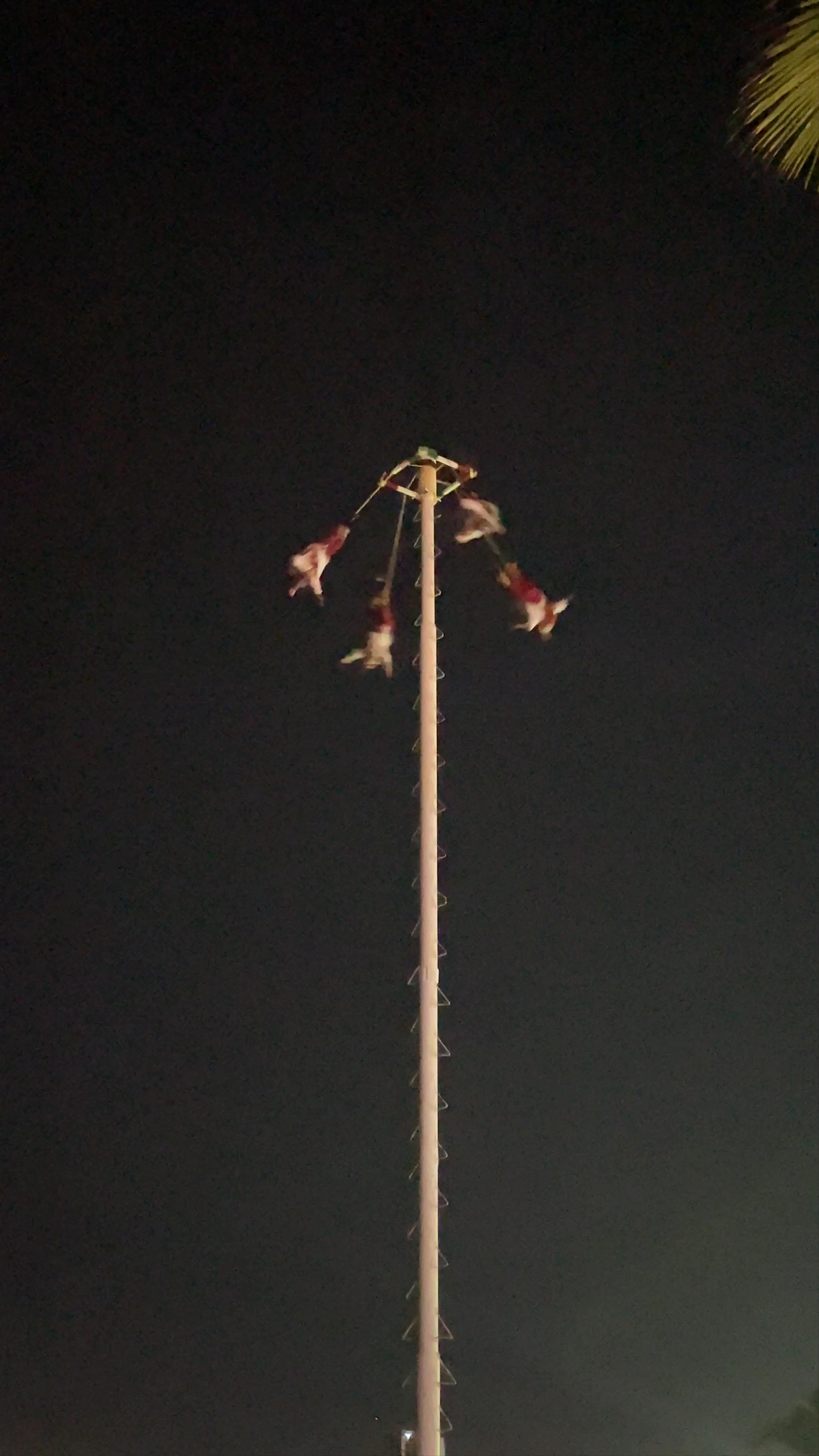 Voladores de Papantla Night Ceremony at Puerto Vallarta Malecón