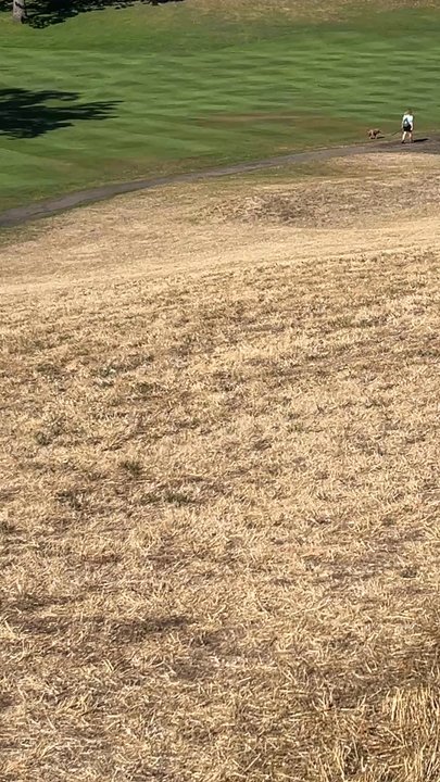 Laurelwood Golf Course - Plenty of walkers on the course. Freaking amazing! - Golf Near Me - Eugene, Oregon
