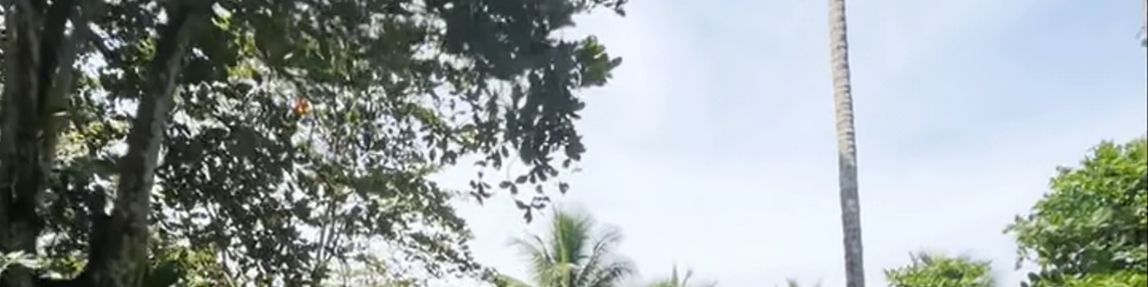 Cahuita Inn