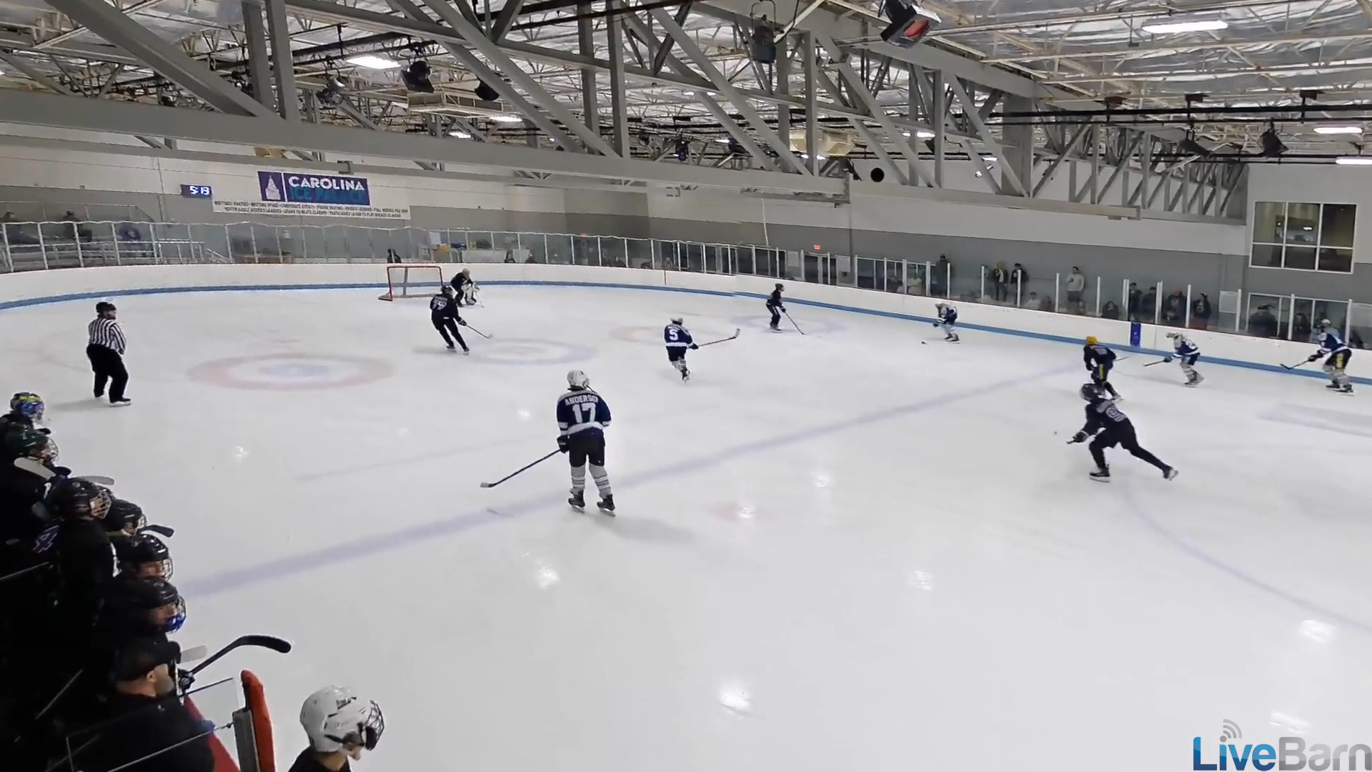 Colin Blank's Stunning Saves at the 16AA Tournament