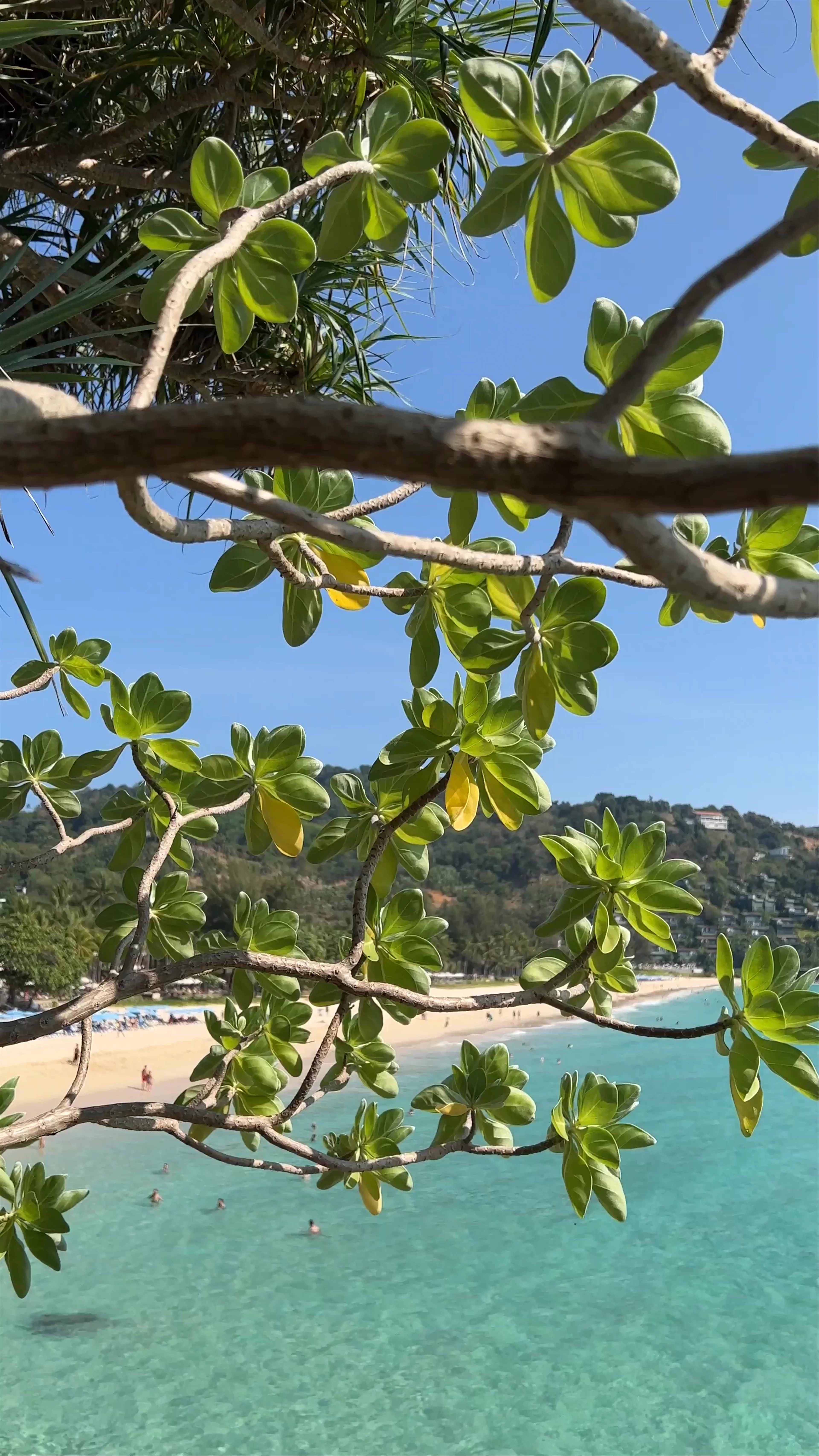 Kata Noi Beach